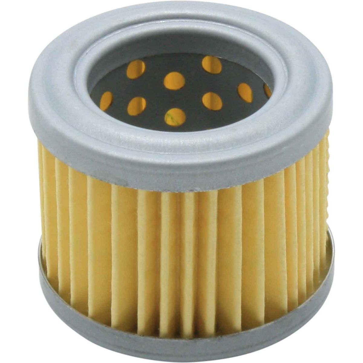 Fuel Filter Element For Electric Fuel Pump 173041 173043