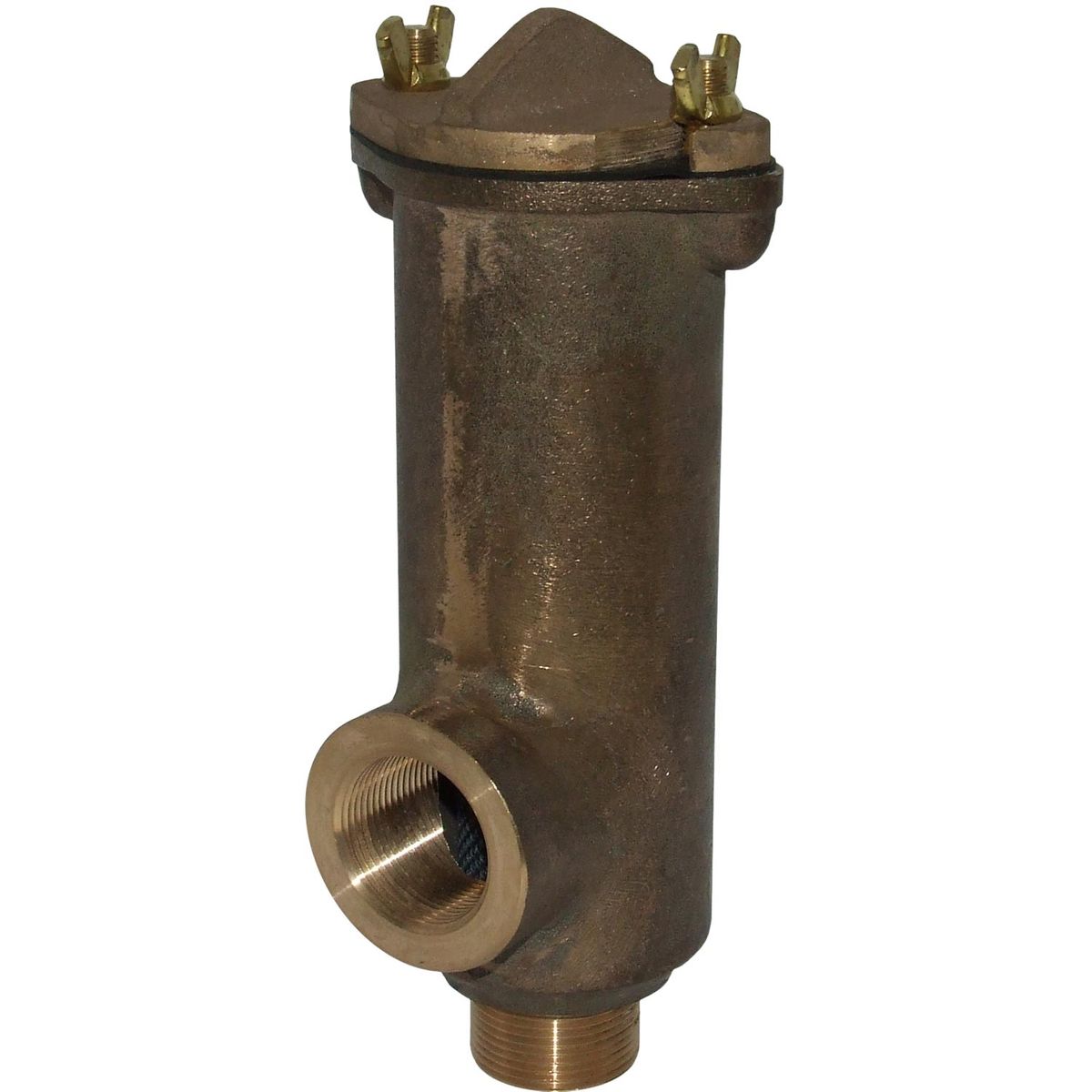 Bronze Hull Mounted Water Strainer (1-1/4" BSP / 250mm x 90mm) 2-70154
