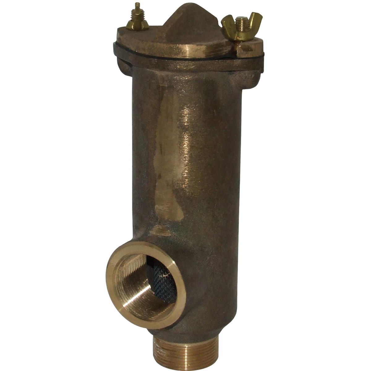 Bronze Hull Mounted Water Strainer (1-1/2" BSP / 250mm x 90mm) 2-70155