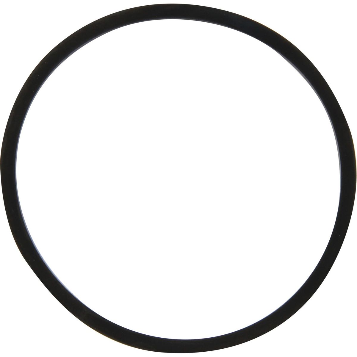 DriveForce Seal Ring for CAV Filter Head 302991