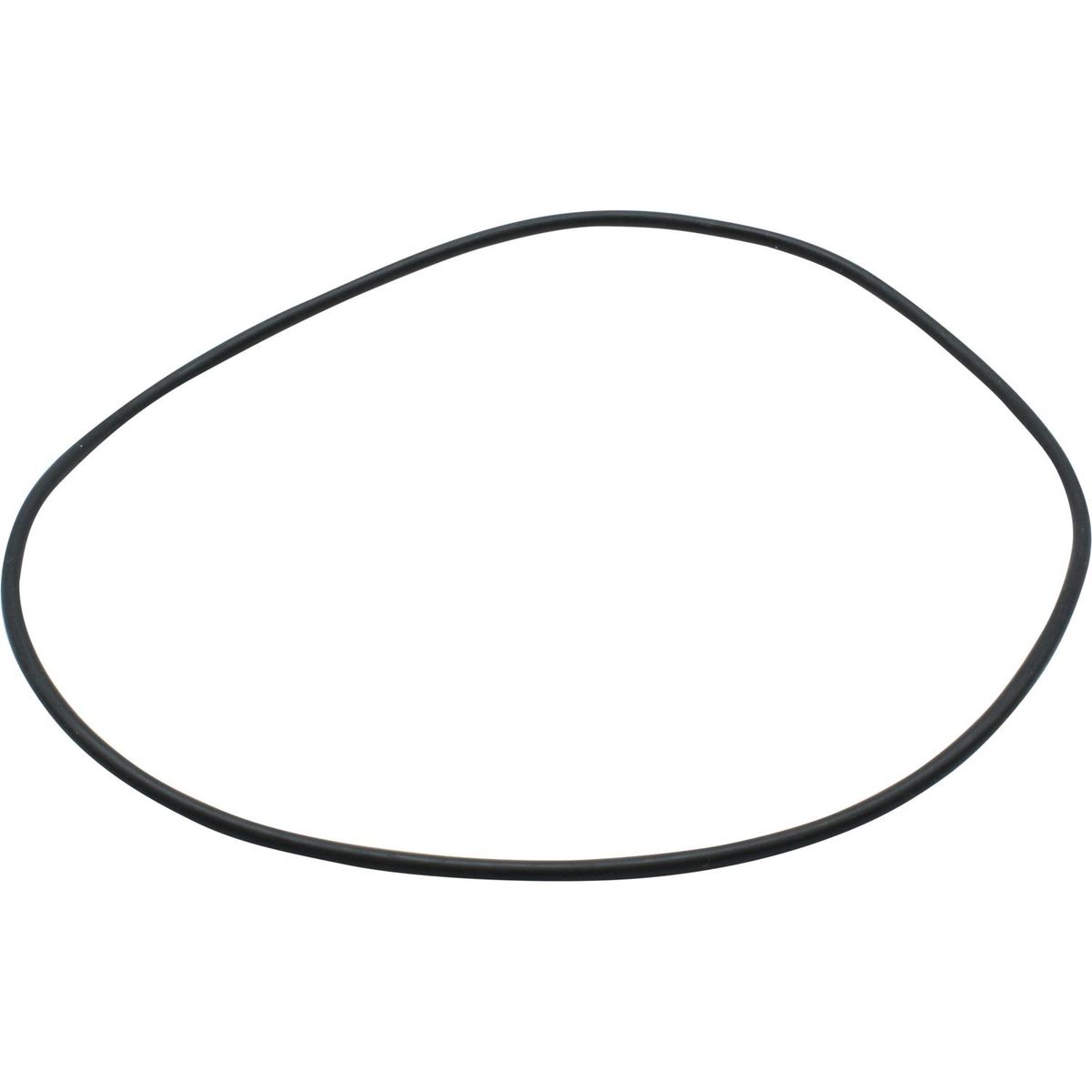Maestrini O-Ring for 2-1/2", 3" & 4" Venezia Strainers 401274