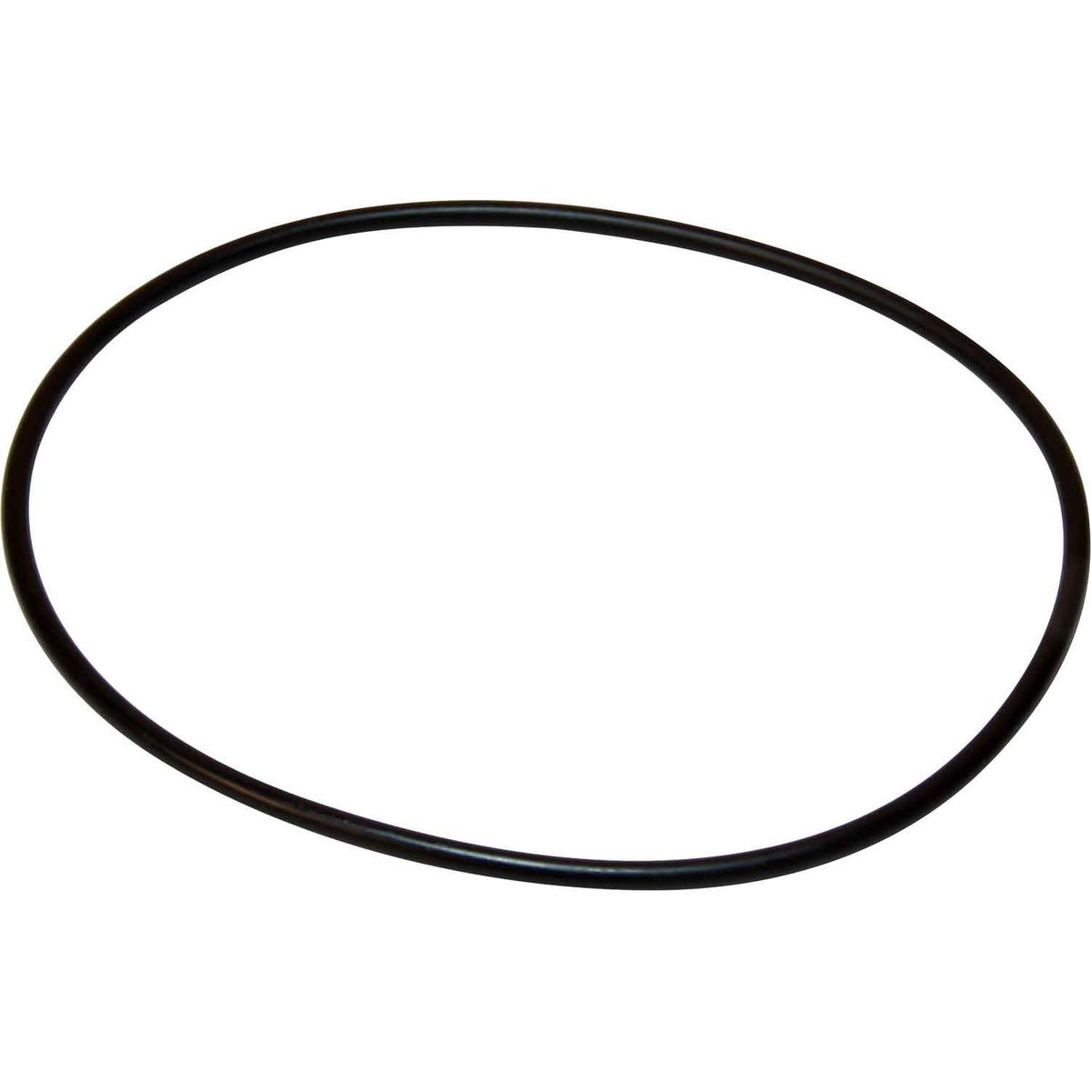 Maestrini Raw Water Intake Strainer O-Ring (1-1/2") 401607-2