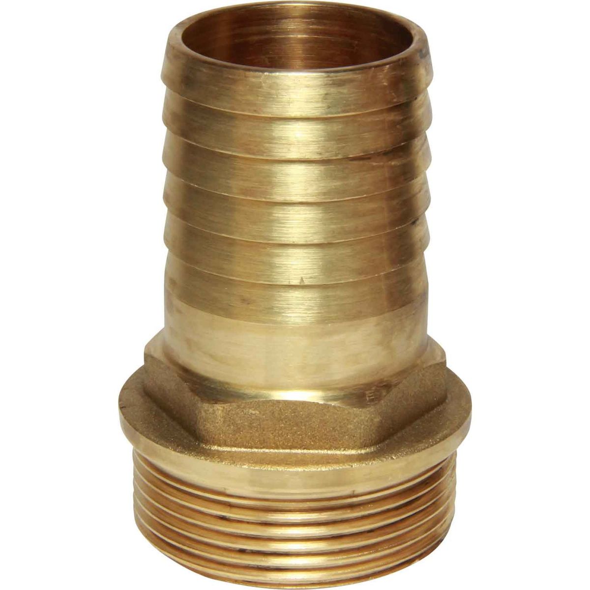 Maestrini Brass Straight Hose Tail (1-1/2" BSP Male to 38mm Hose) 404074