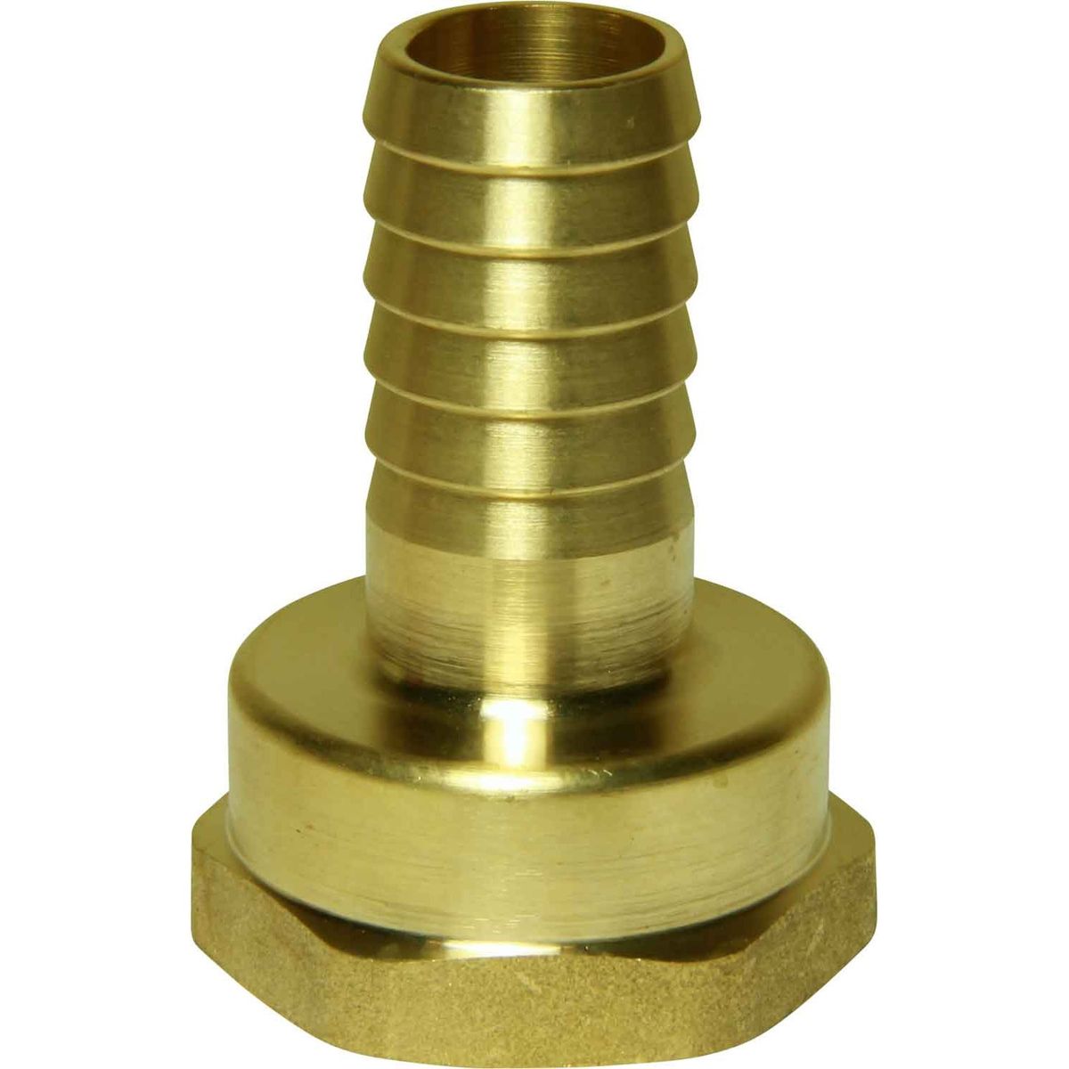 Maestrini Brass Straight Hose Tail (1" BSP Female to 20mm Hose) 404253