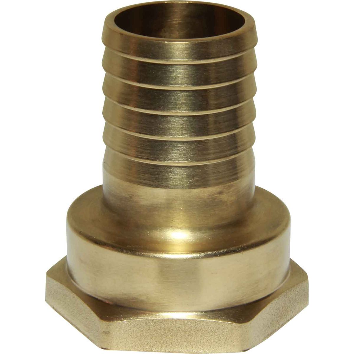 Maestrini Brass Straight Hose Tail (1-1/4" BSP Female to 30mm Hose) 404262