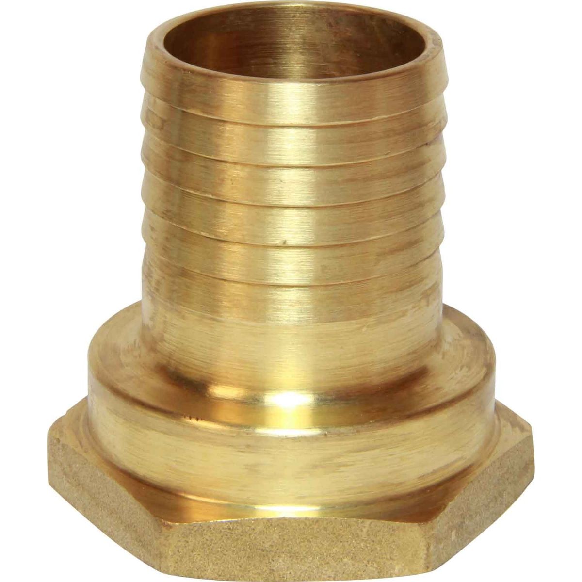 Maestrini Brass Straight Hose Tail (1-1/2" BSP Female to 38mm Hose) 404273