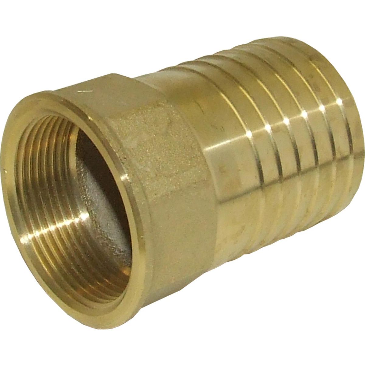 Maestrini Brass Straight Hose Tail (1-1/2" BSP Female to 50mm Hose) 404278
