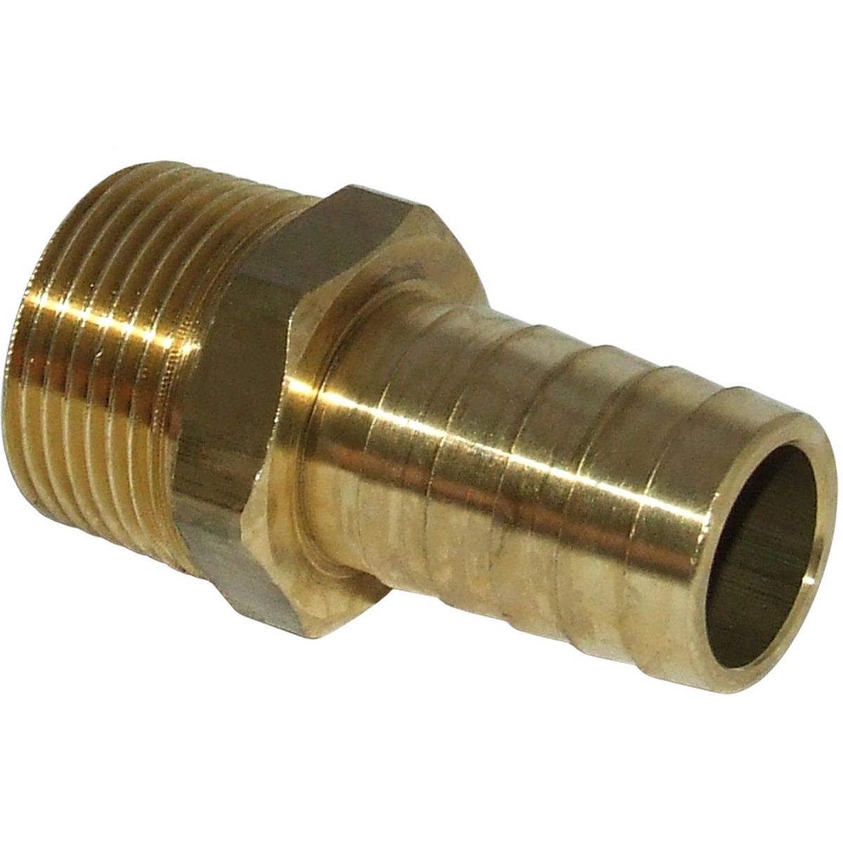 Maestrini DZR Straight Hose Tail (3/4" BSPT Male to 19mm Hose) 404645