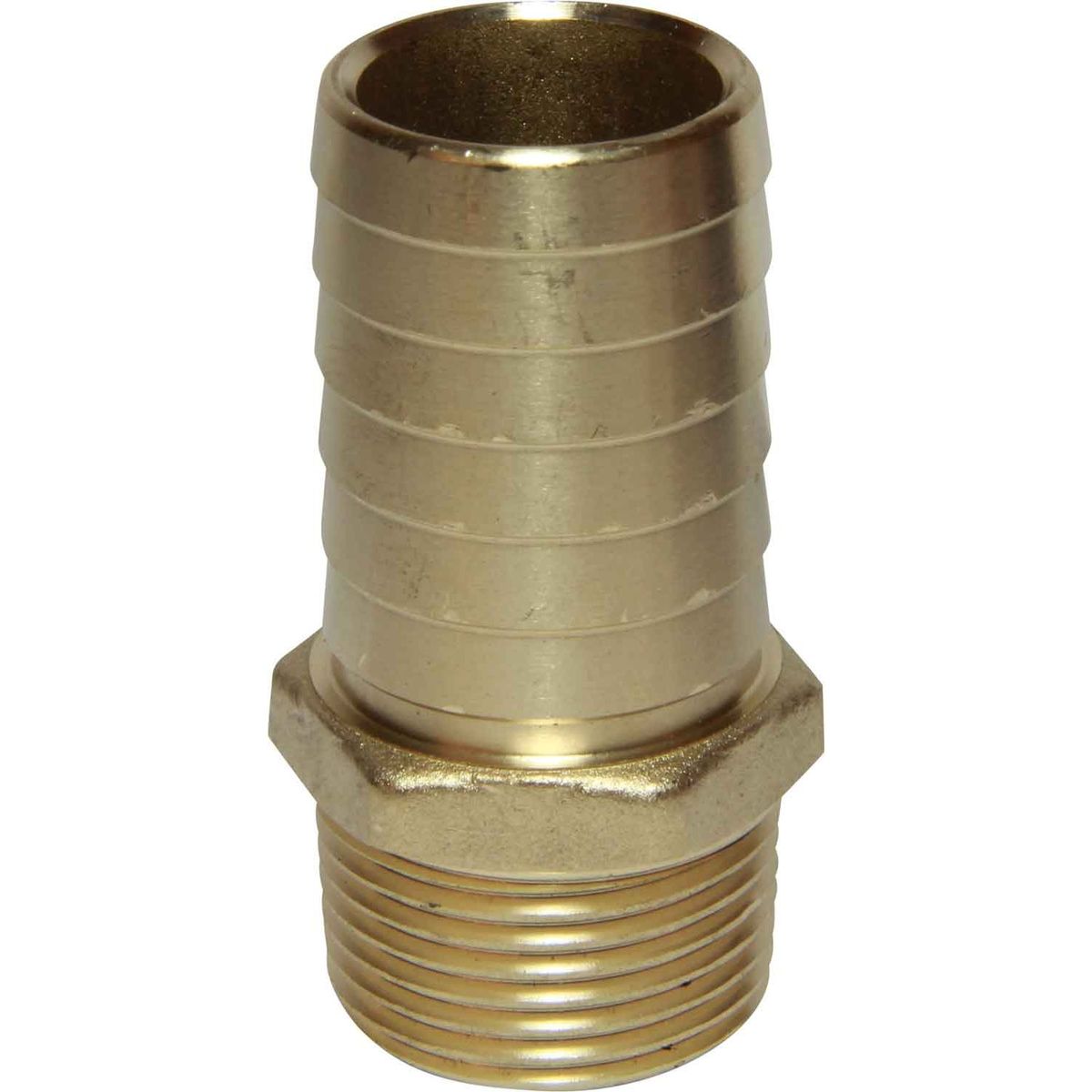 Maestrini DZR Straight Hose Tail (1" BSPT Male to 32mm Hose) 404657