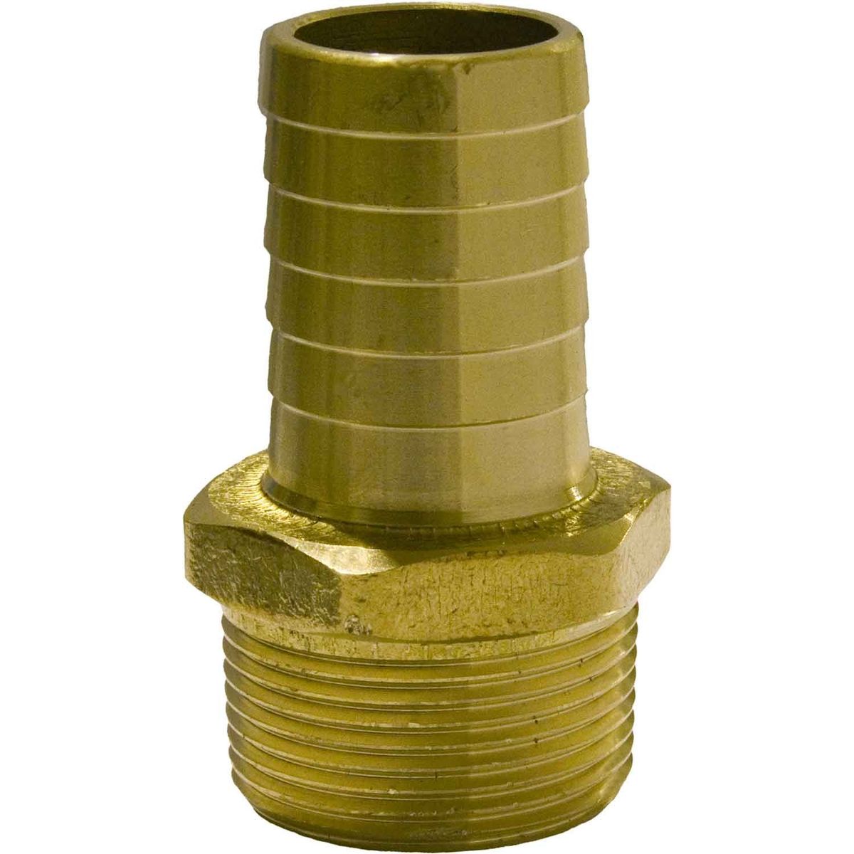 Maestrini DZR Straight Hose Tail (1-1/4" BSPT Male to 32mm Hose) 404663