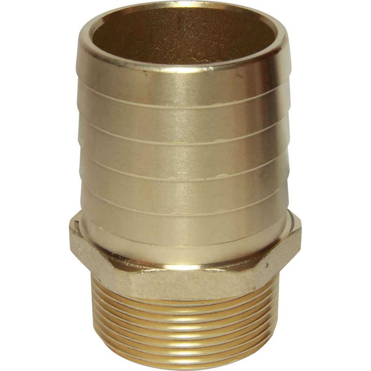 Maestrini DZR Straight Hose Tail (1-1/2" BSPT Male to 51mm Hose) 404678