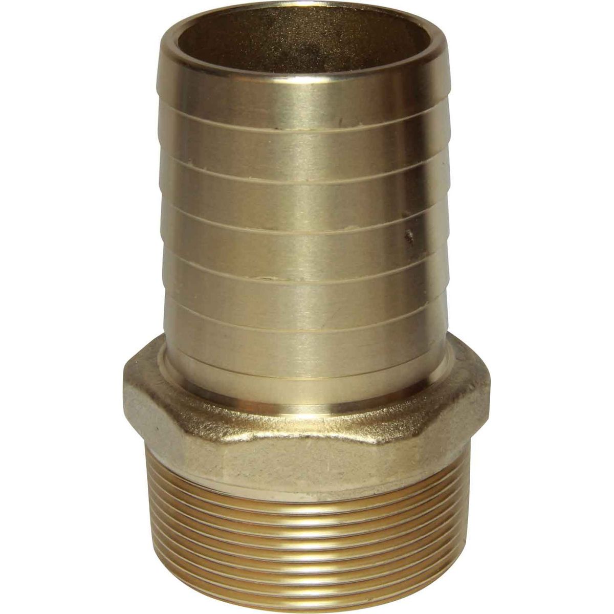 Maestrini DZR Straight Hose Tail (2" BSPT Male to 51mm Hose) 404684