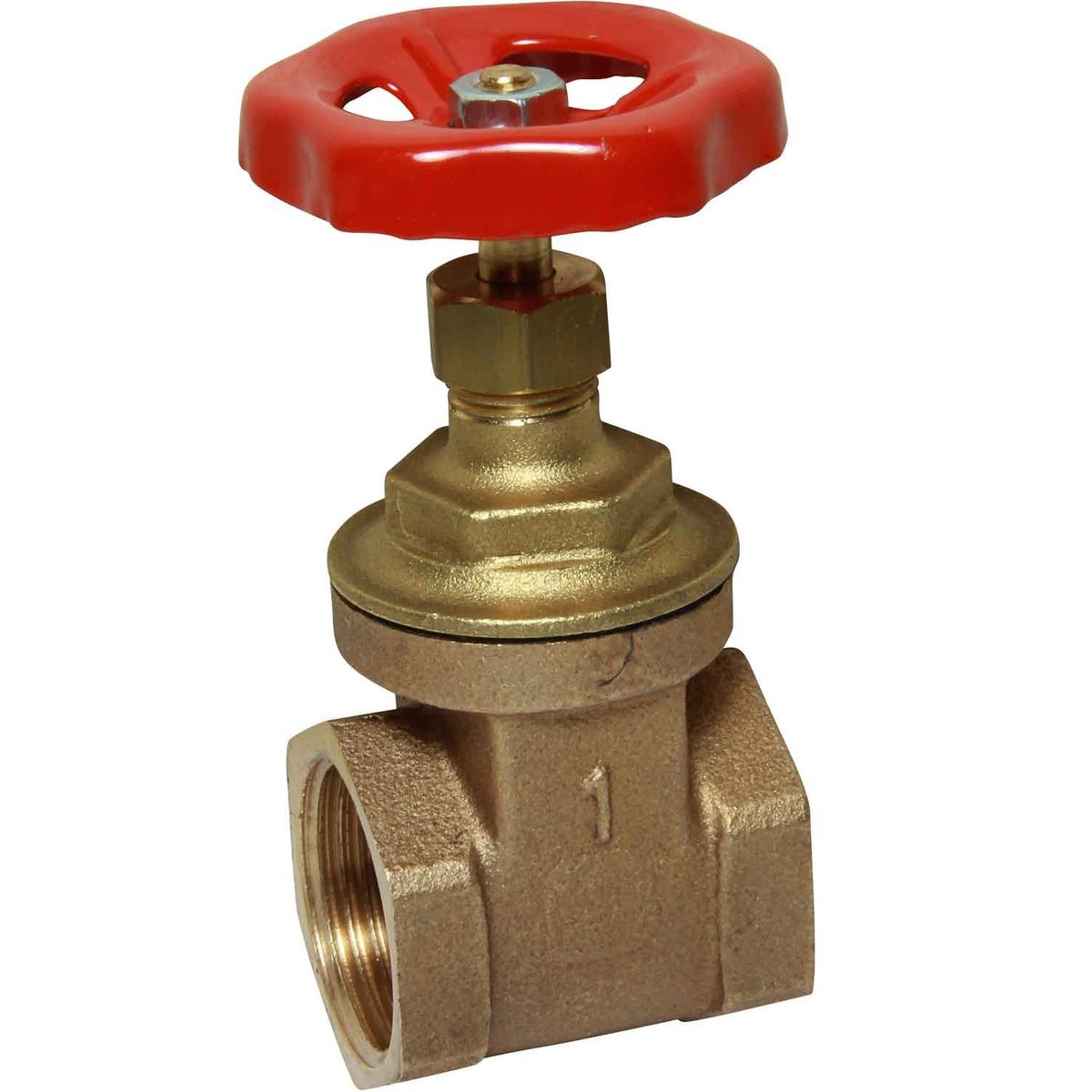 Maestrini Brass Gate Valve with Bronze Body (Female / 1" BSP) 406105