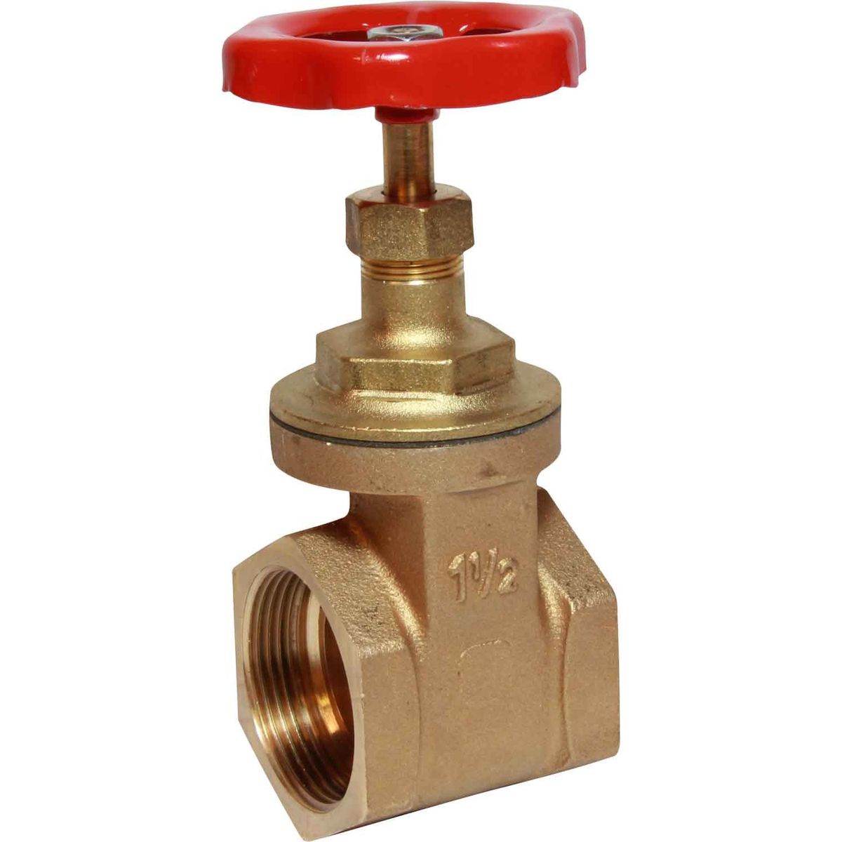 Maestrini Brass Gate Valve with Bronze Body (Female / 1-1/2" BSP) 406107