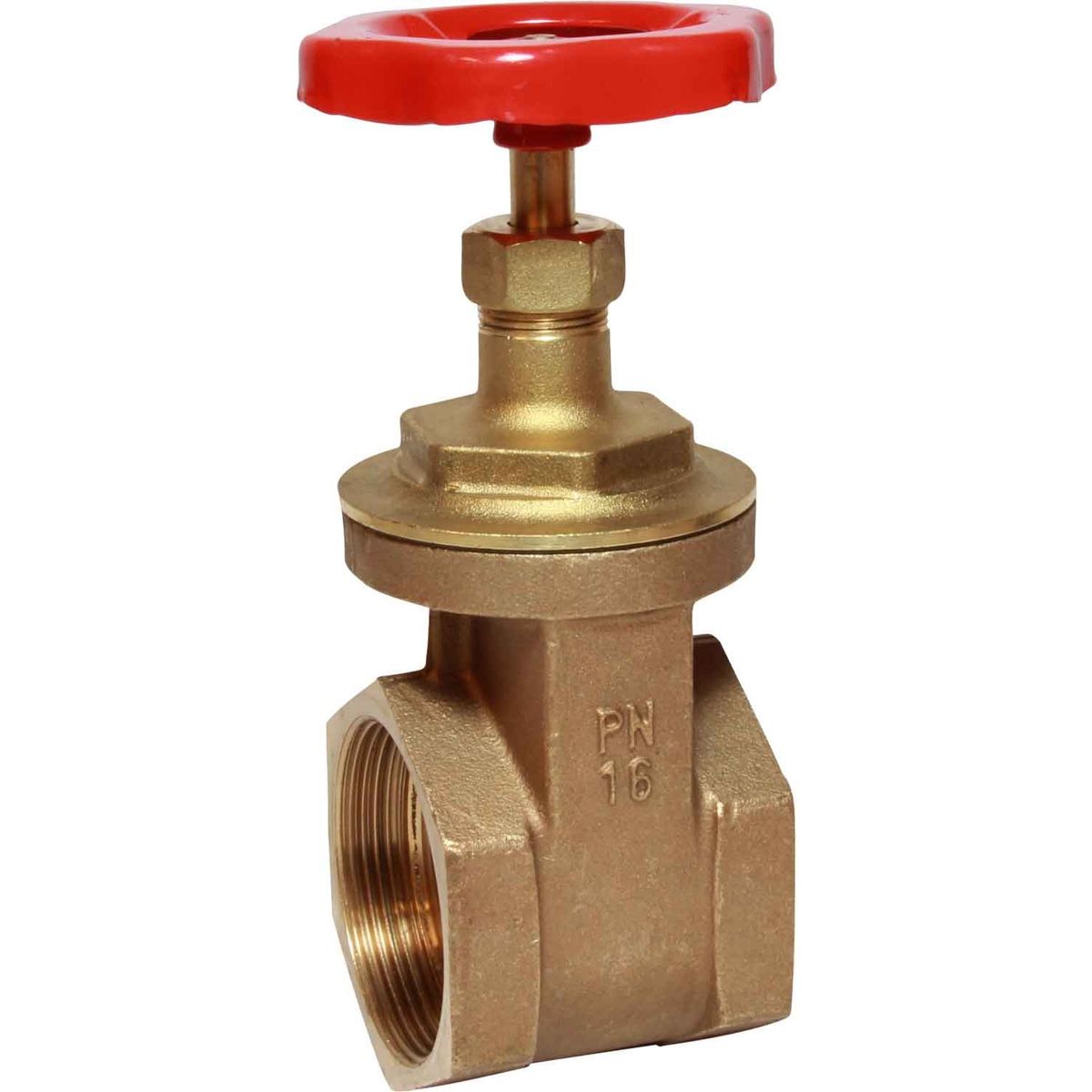 Maestrini Brass Gate Valve with Bronze Body (Female / 2" BSP) 406108