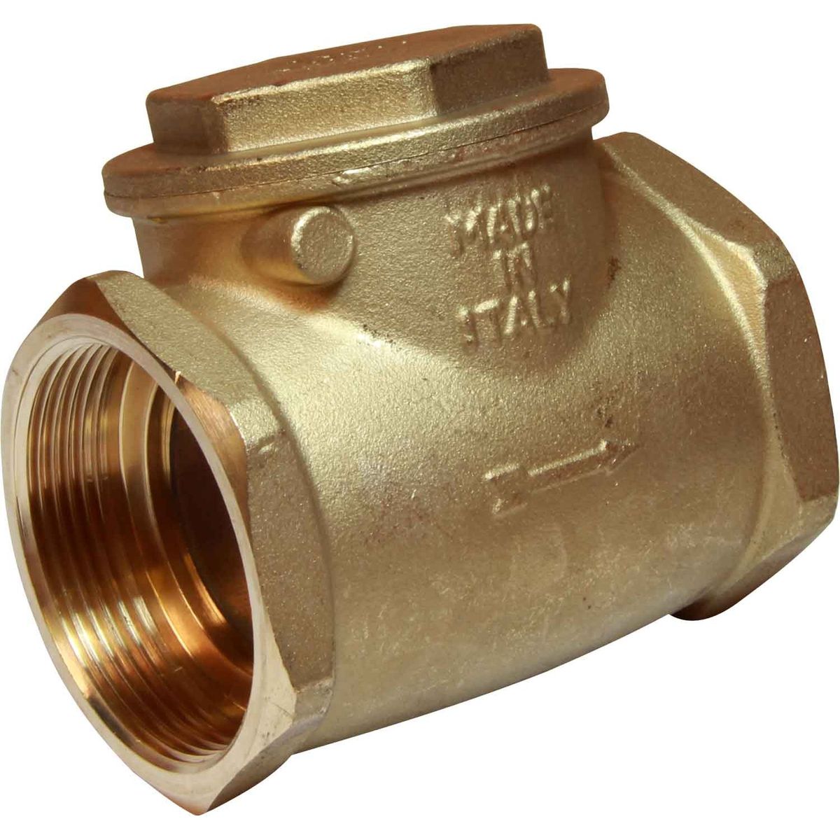 Maestrini Brass Inline Swing Check Valve (Female / 2" BSP) 406708