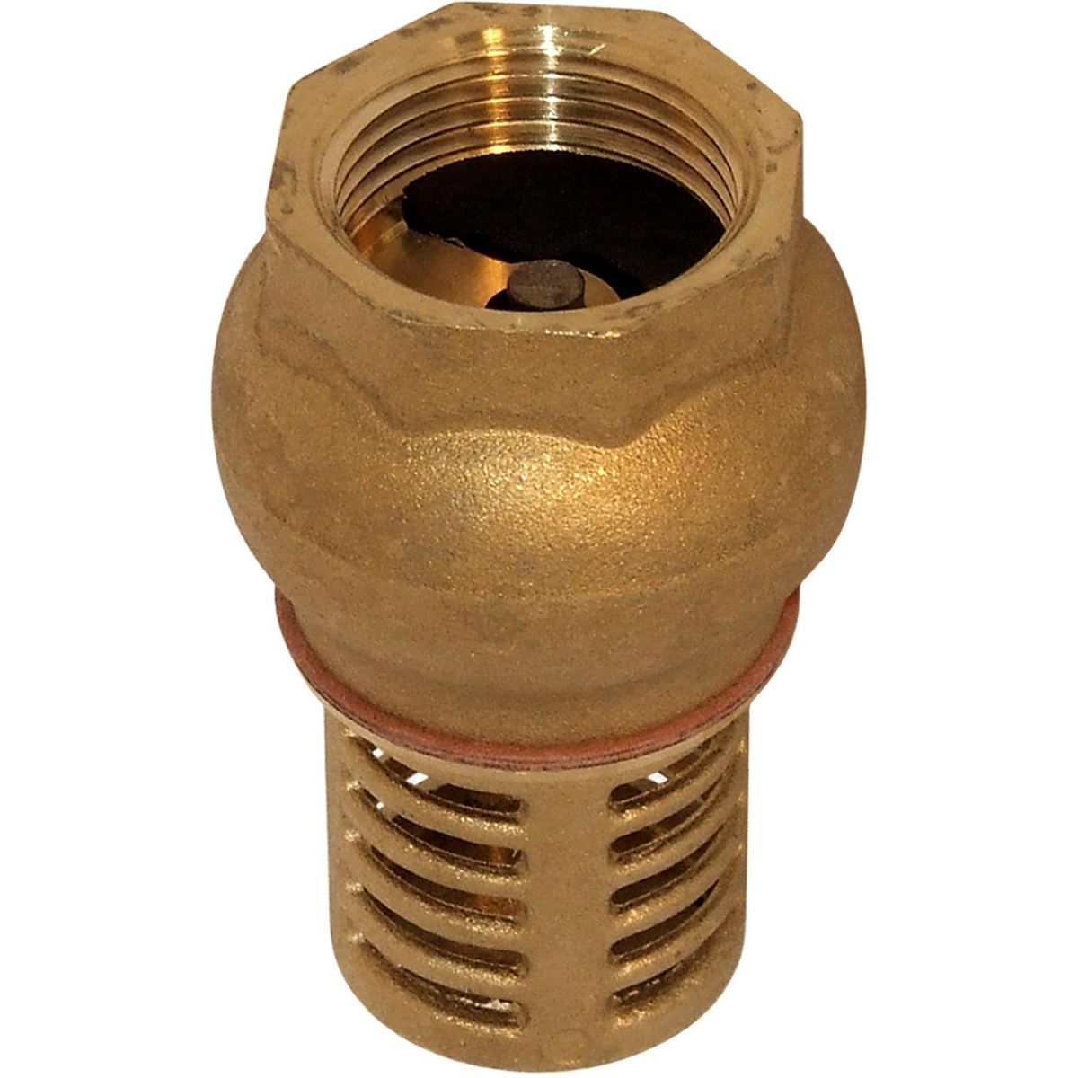 Maestrini Brass Foot Valve (Female / 1" BSP) 406805