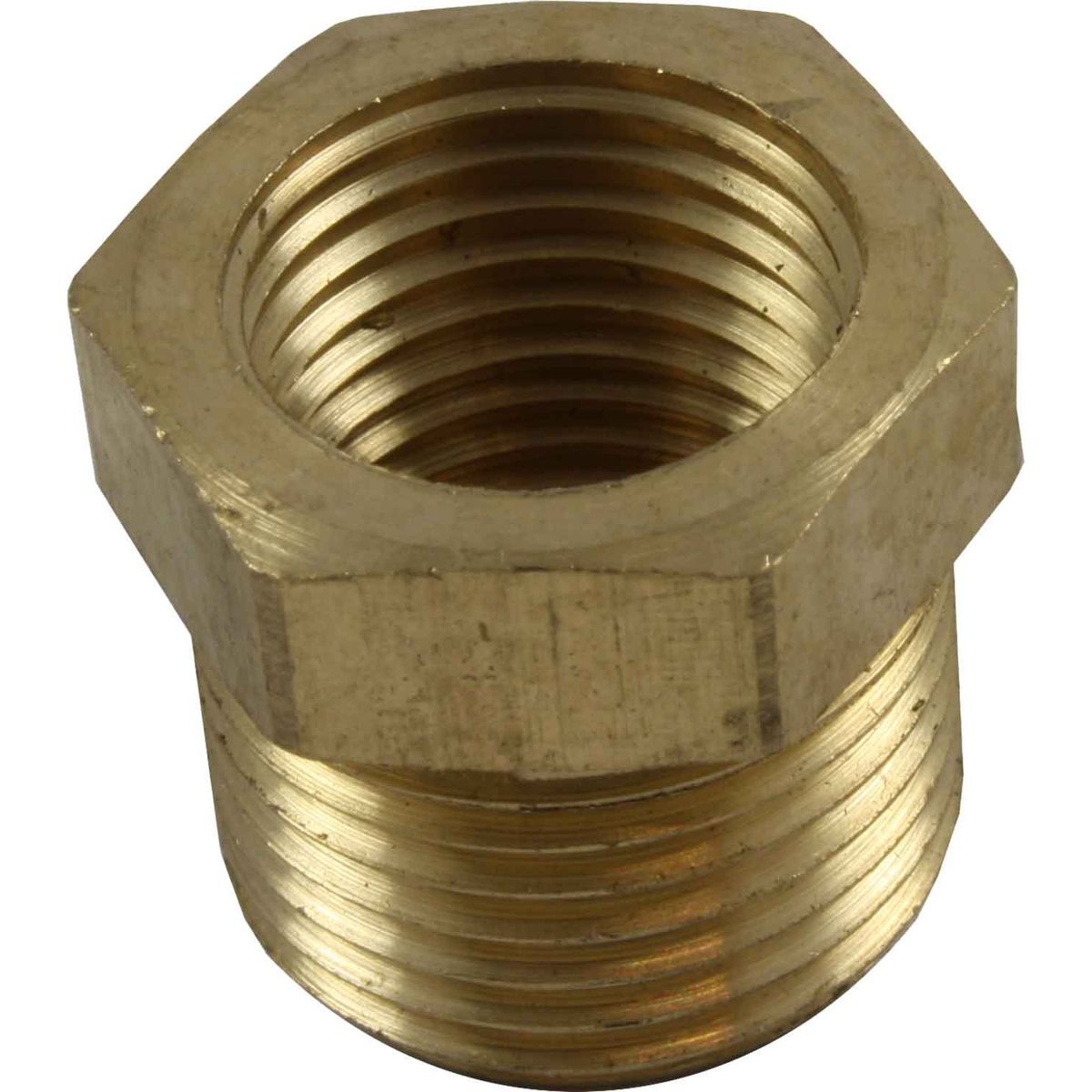 Maestrini Brass Reducing Bush (3/8" BSPT Male to 1/4" BSP Female) 407504