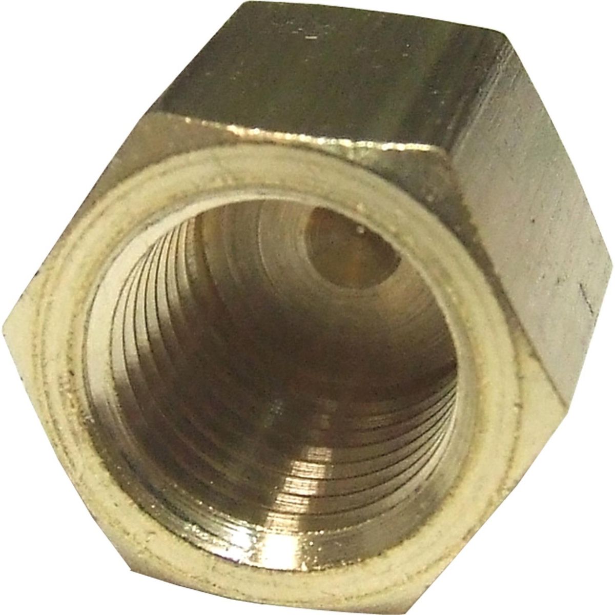Maestrini Brass Blanking Cap (1/4" BSP Female) 407701