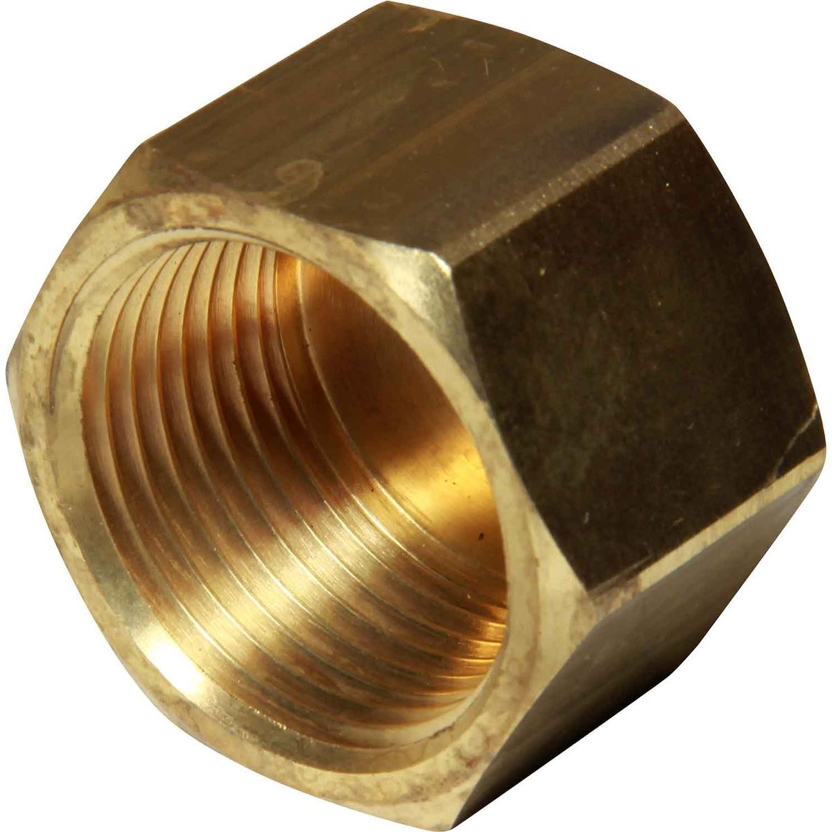 Maestrini Brass Blanking Cap (1" BSP Female) 407705