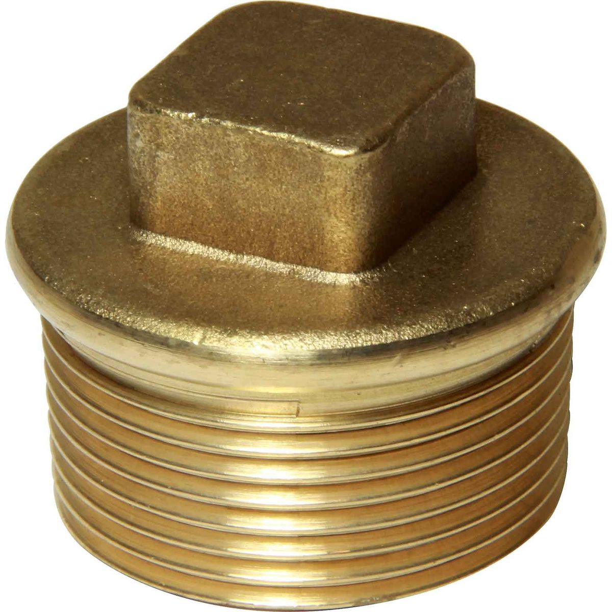 Maestrini Brass Tapered Plug (1-1/4" BSPT Male) 407756