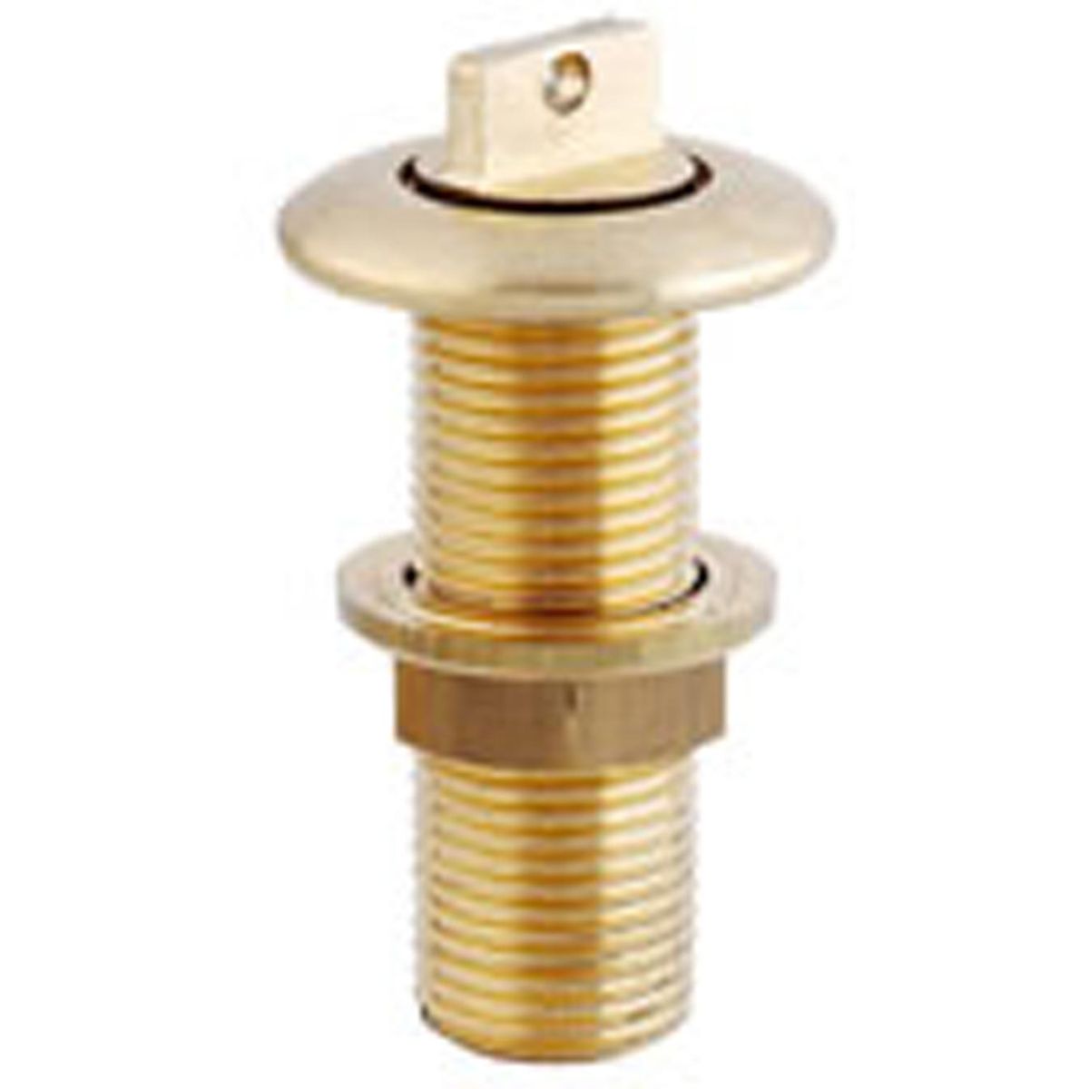 Maestrini Brass Drain Plug (3/4" BSP Male Thread) 407974