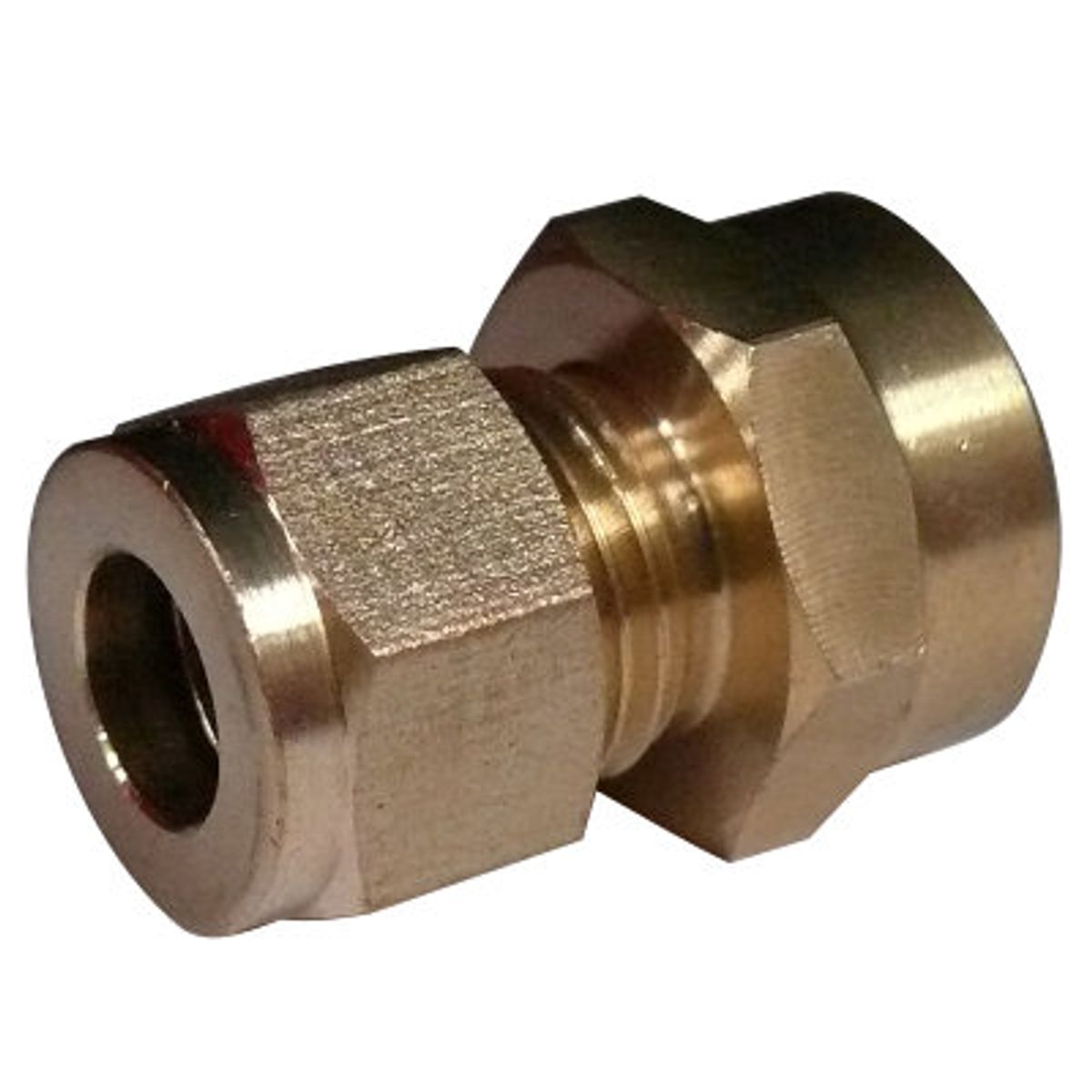 AG Female Compression Coupling (3/8" BSPP to 5/16" Compression) 4085/8