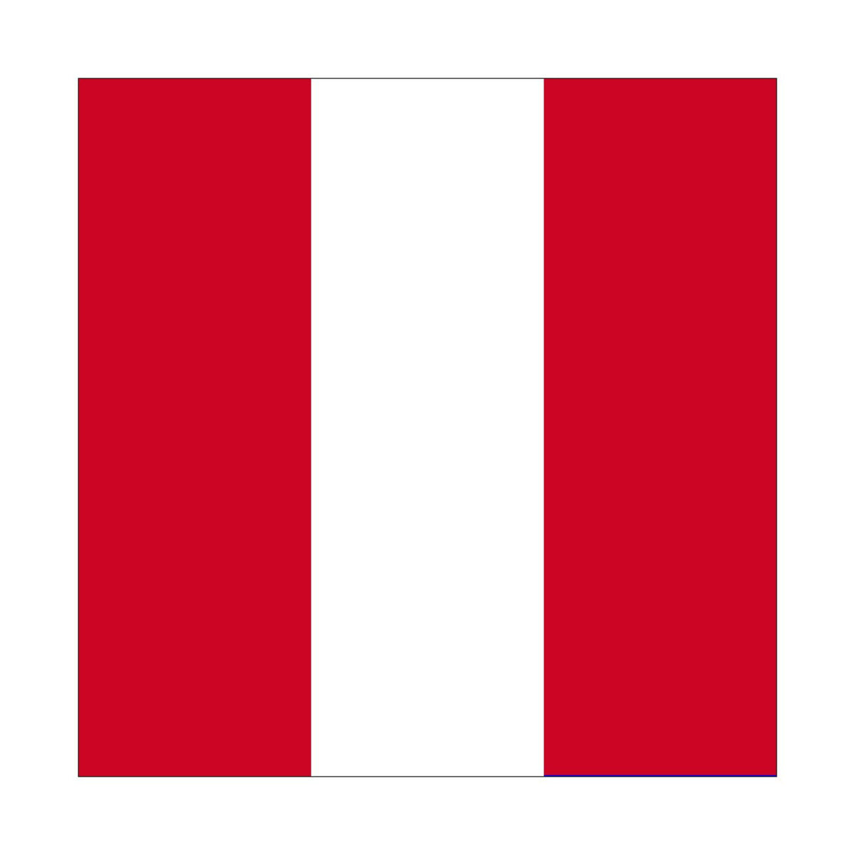 NAVAL Numeral Flag 7 - Special Order