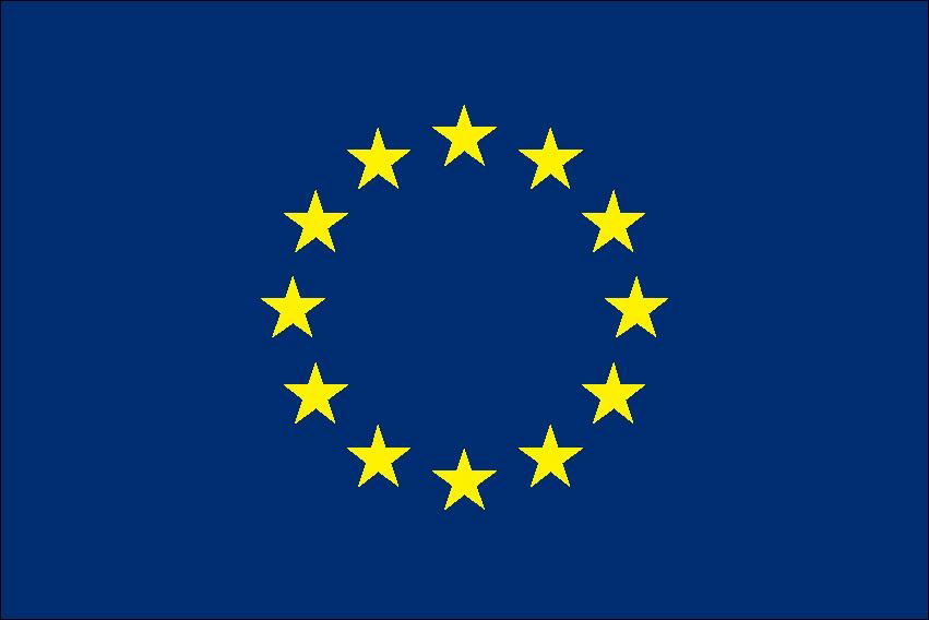 European Union Flag 30 x 45cm