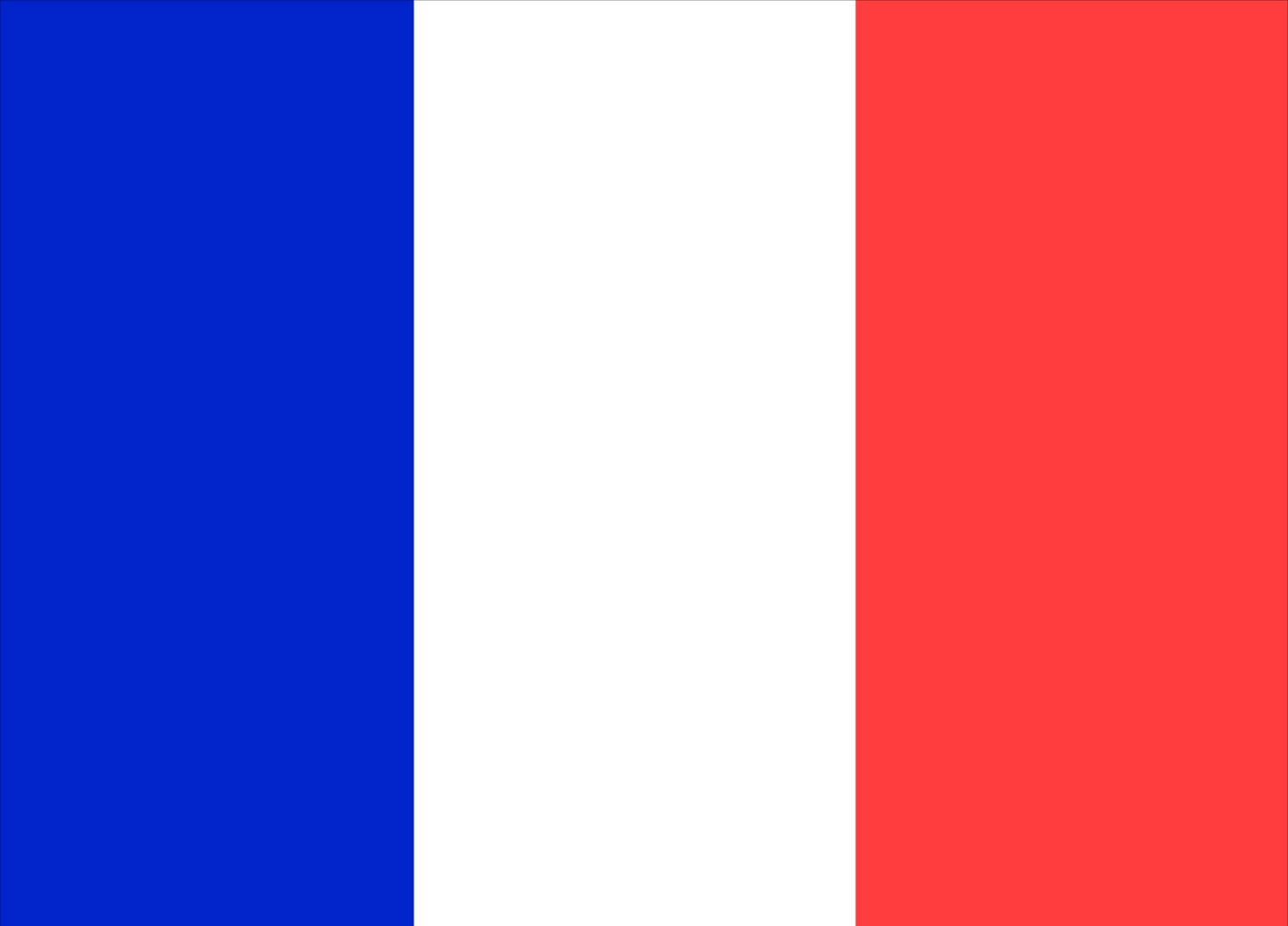 France Courtesy Flag 30 x 45cm