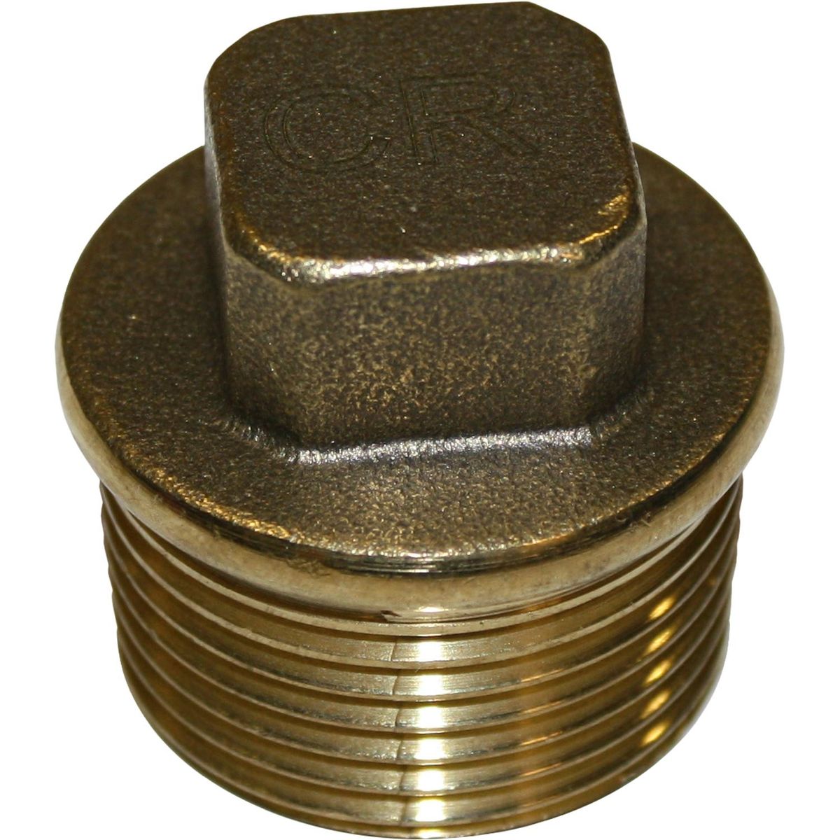 Maestrini DZR Tapered Plug (1" BSP Male) 434755