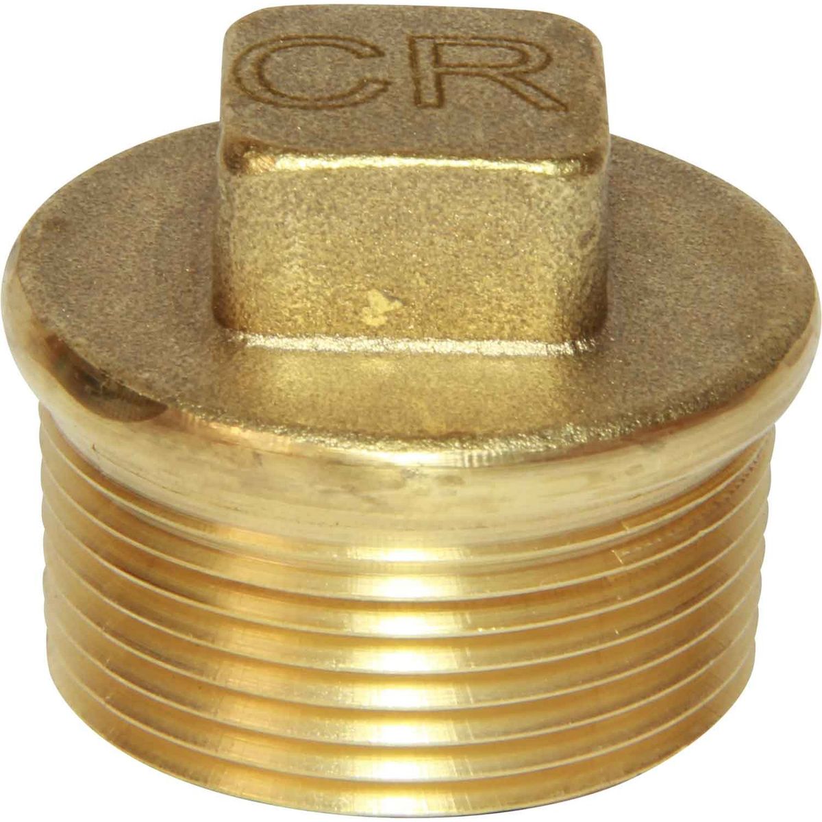 Maestrini DZR Tapered Plug (1-1/4" BSP Male) 434756