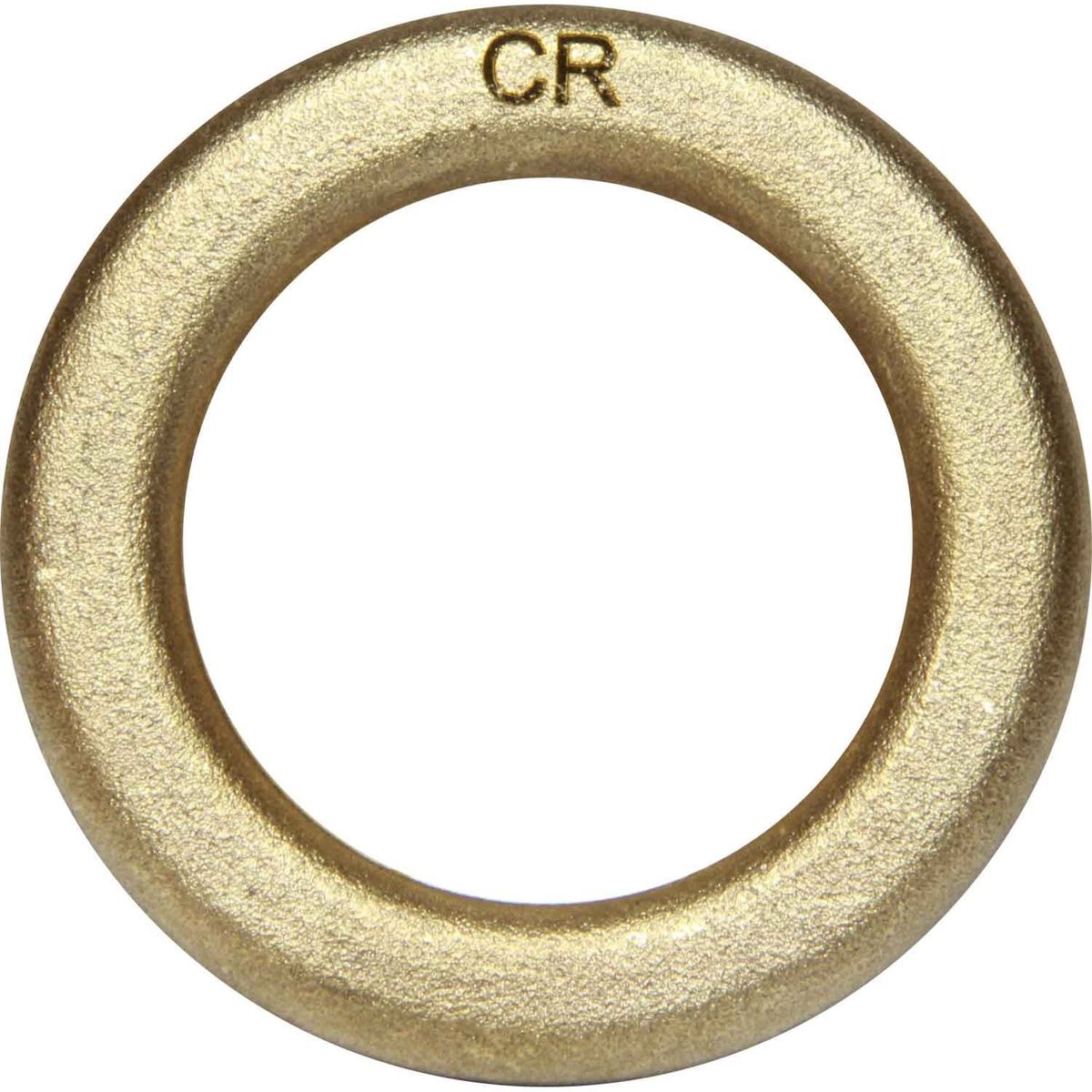 Maestrini DZR Washer (1-1/4" BSP Male) 434806