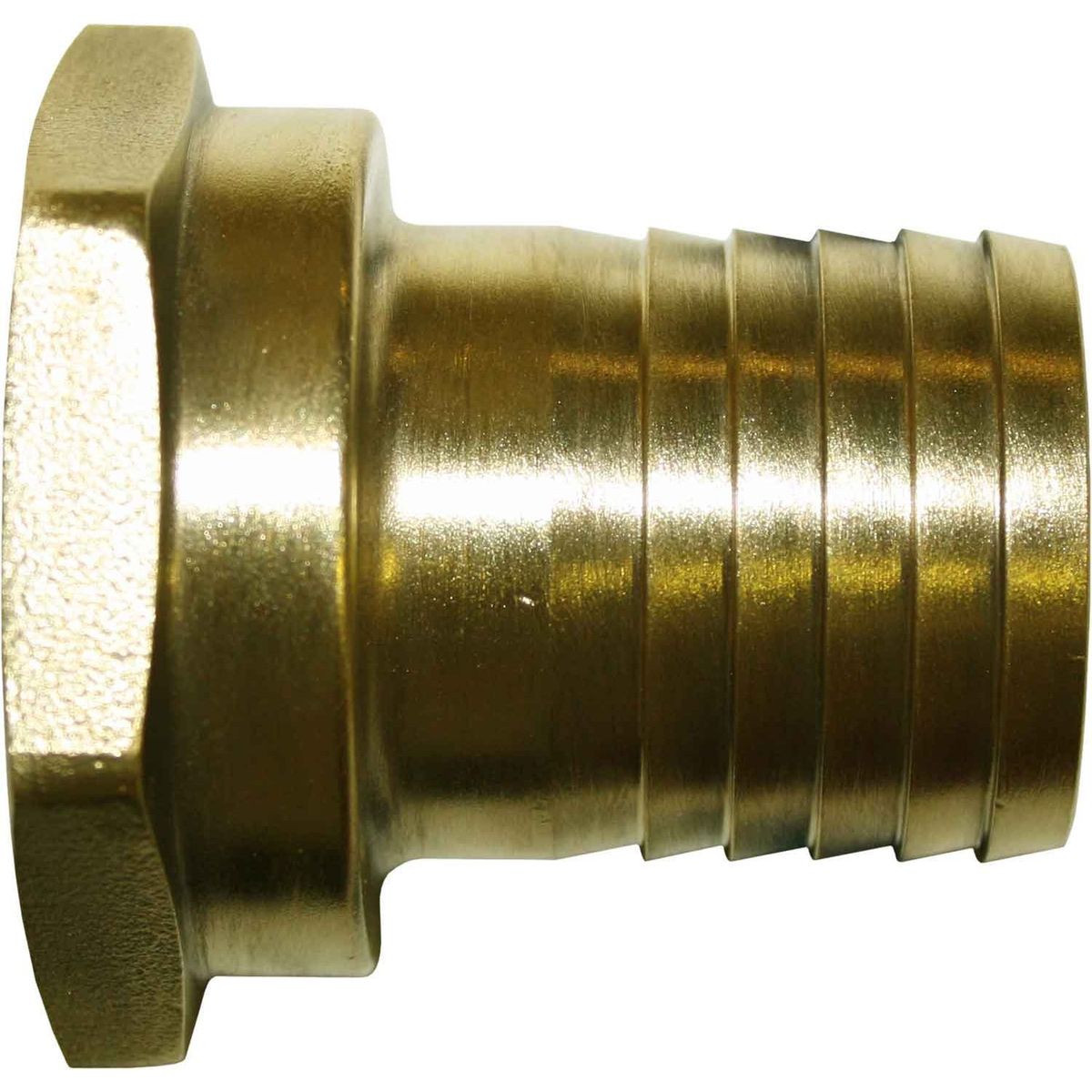 Maestrini DZR Straight Hose Tail (1-1/2" BSP Female to 38mm Hose) 435274