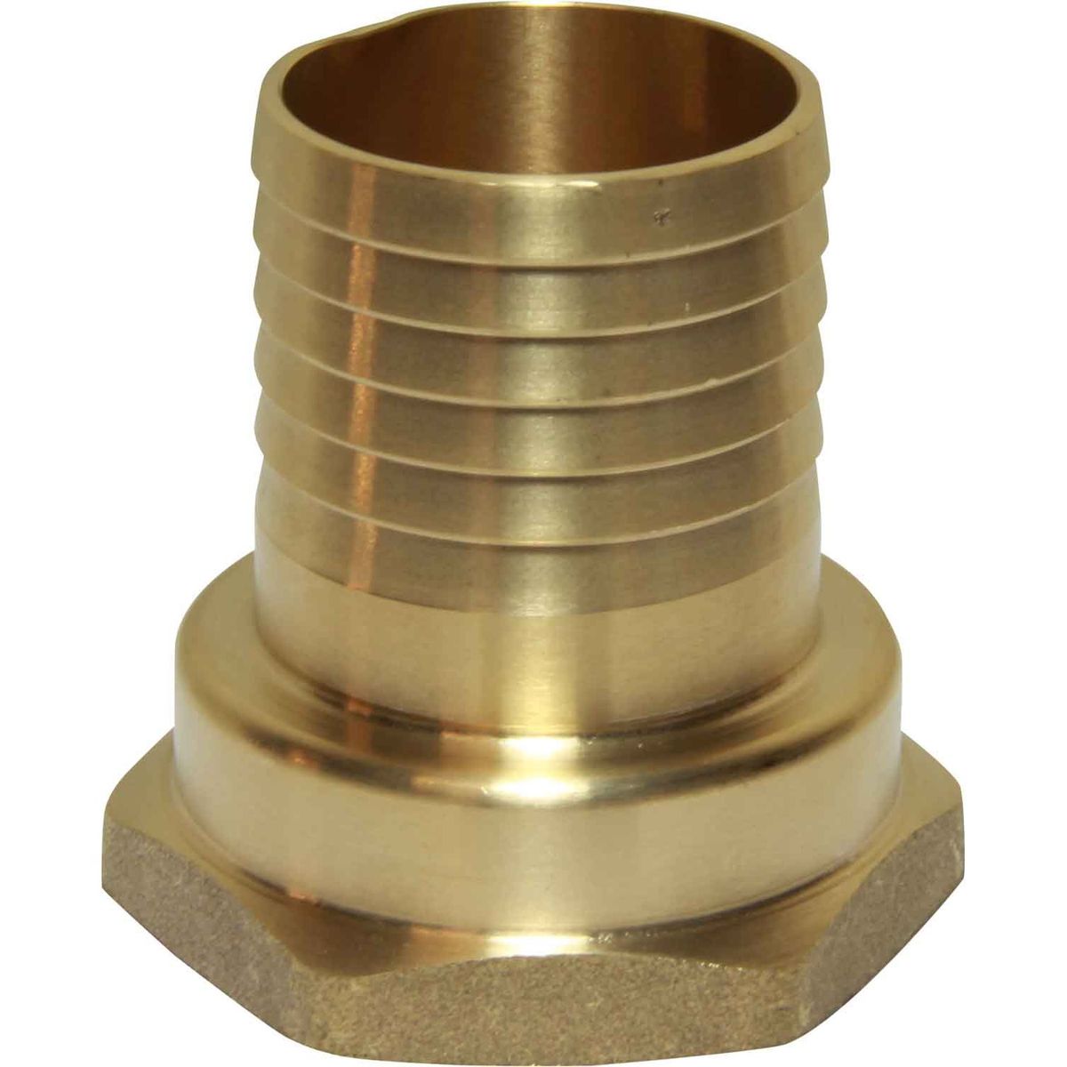 Maestrini DZR Straight Hose Tail (1-1/2" BSP Female to 40mm Hose) 435275