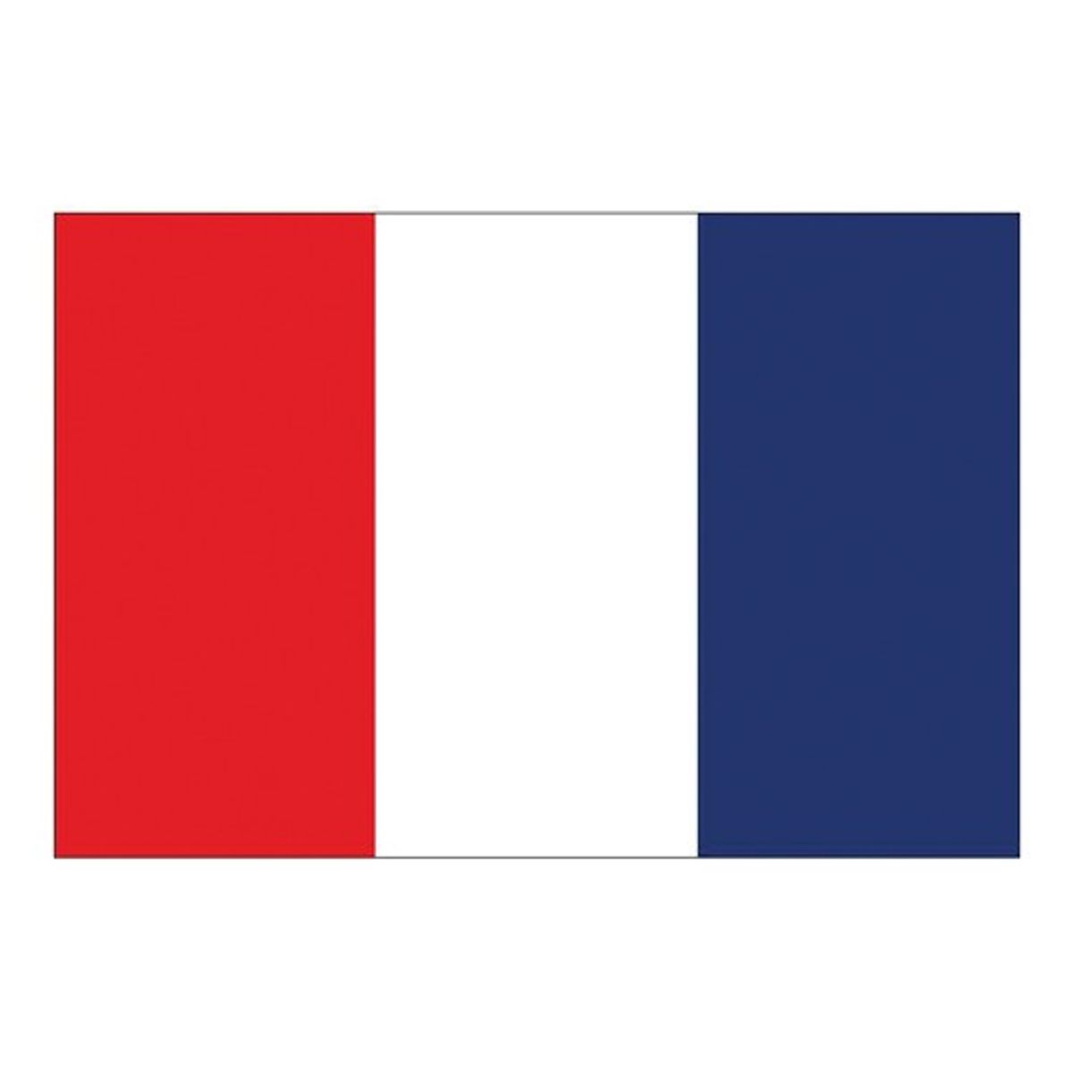 Flag International Code Signal T (30 x 45cm)