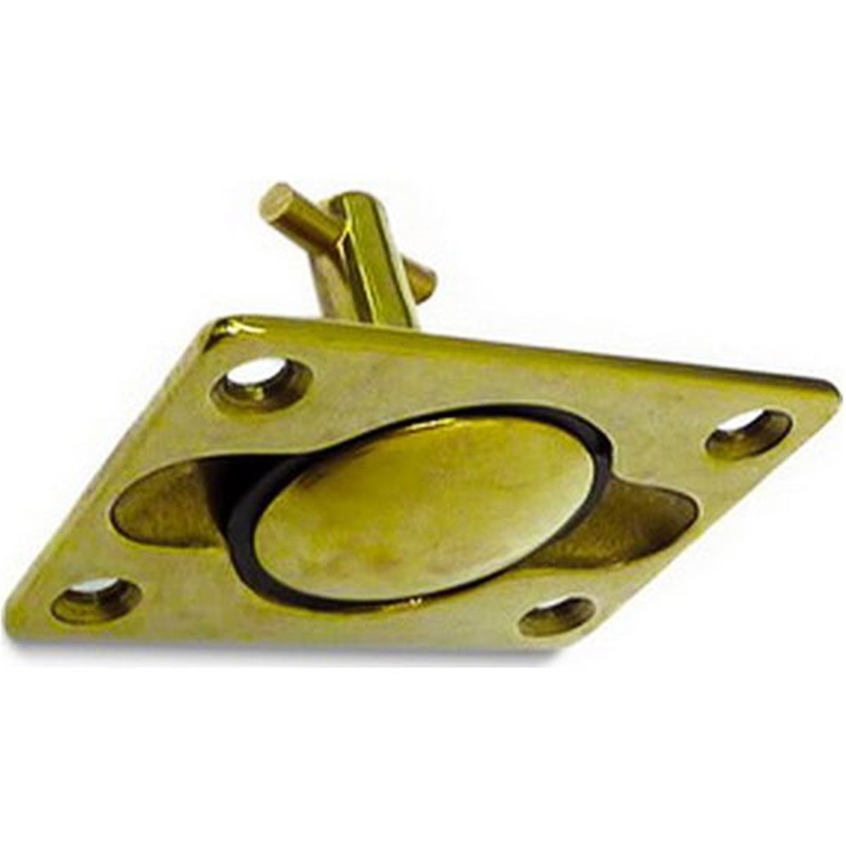 AG Lifting Ring / Plug in Brass (2-1/2" x 1-3/4") AB-020