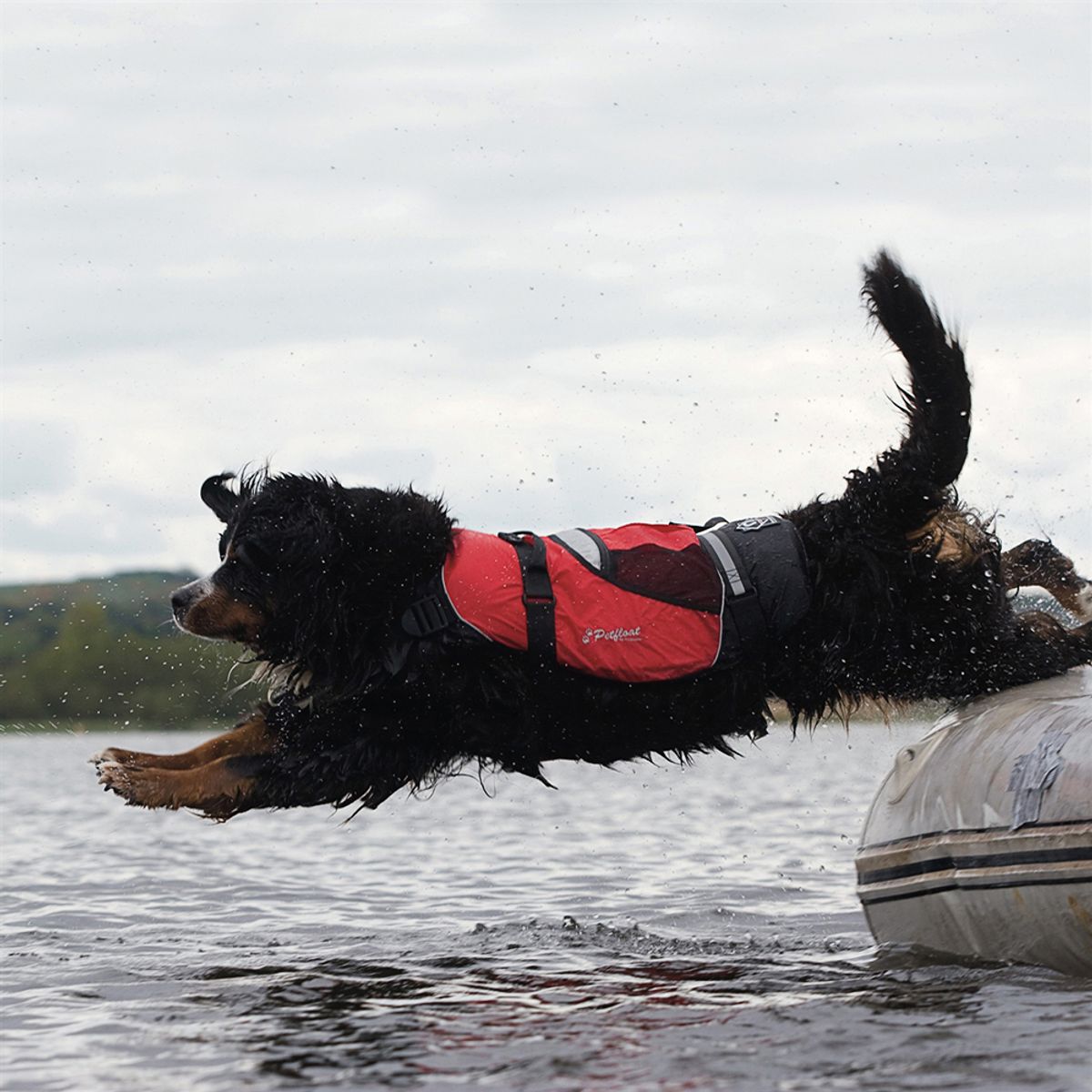 Crewsaver Pet Buoyancy Aid (Extra Large 22"-26") AL-081
