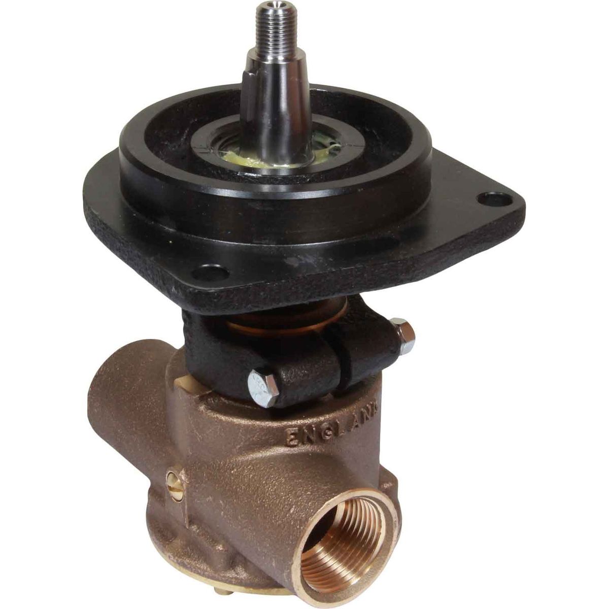 Jabsco Raw Water Pump (Ford / Flange Mounted / 1" Ports) JAB-21140-2401