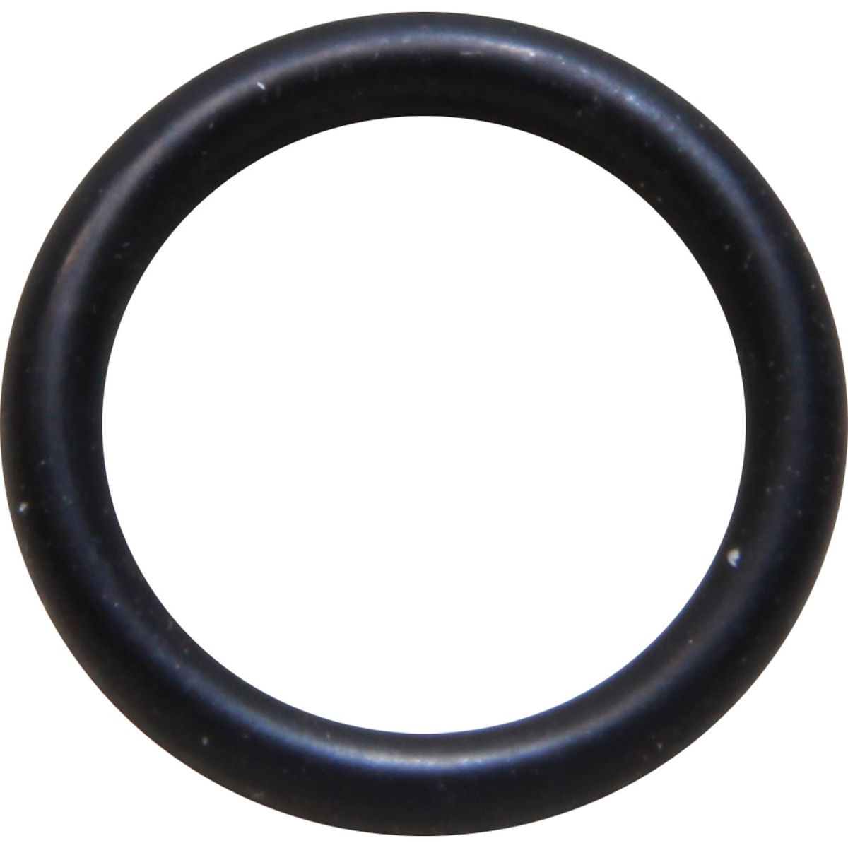 Sherwood 06602 O-Ring for Sherwood H5 Pump Shaft Slinger SW06602