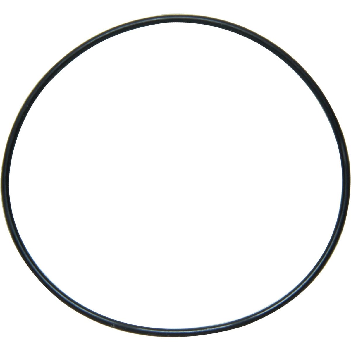 Sherwood 12231 O-Ring for Sherwood Pump End Cover SW12231
