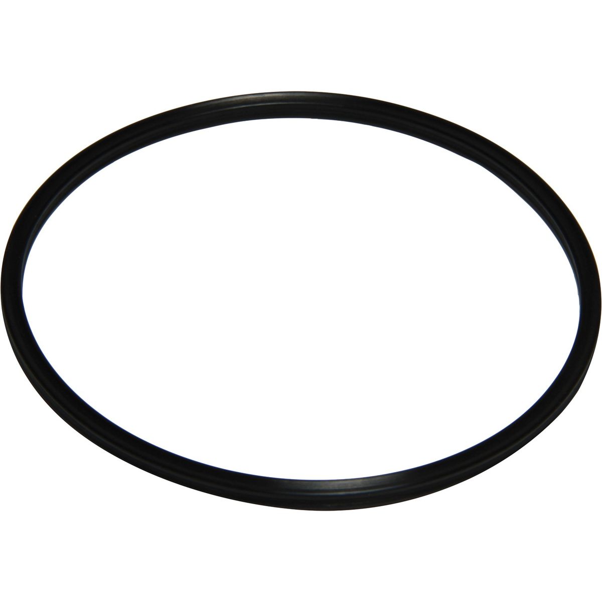 Sherwood 21561 Quad Ring for Sherwood Pump End Cover SW21561