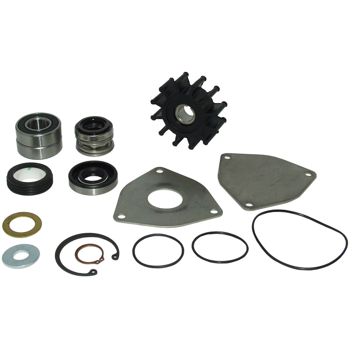 Sherwood Major Repair Kit 22784 for Sherwood G701 Engine Cooling Pumps SW22784