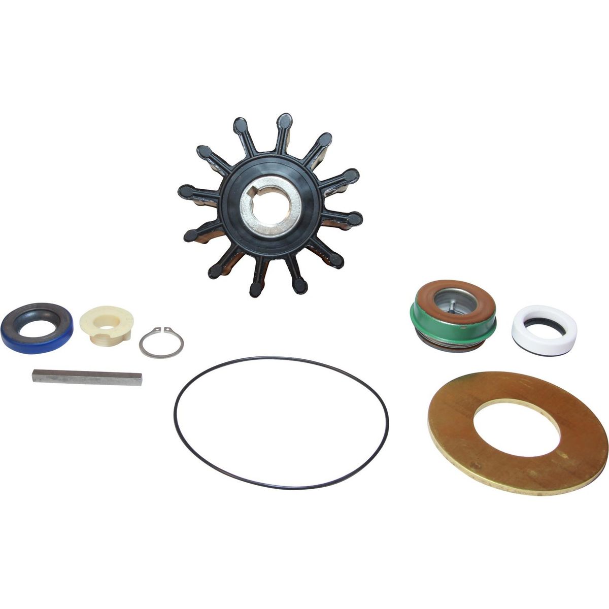 Sherwood Minor Repair Kit 23972 for Sherwood P1700 Series Engine Pumps SW23972