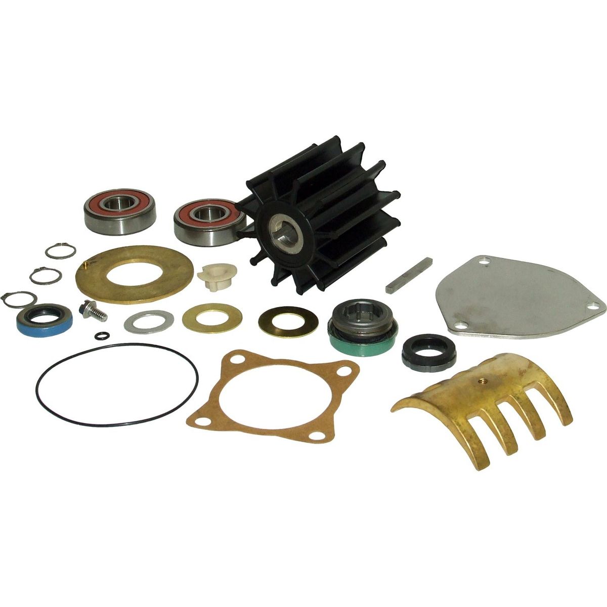Sherwood Major Repair Kit for Sherwood P1700 series Pumps SW23974
