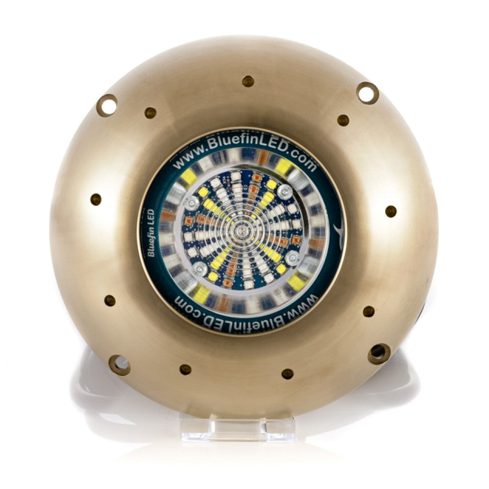 Bluefin LED Orca O48 SM Light - RGBW | waterworldsports.co.uk