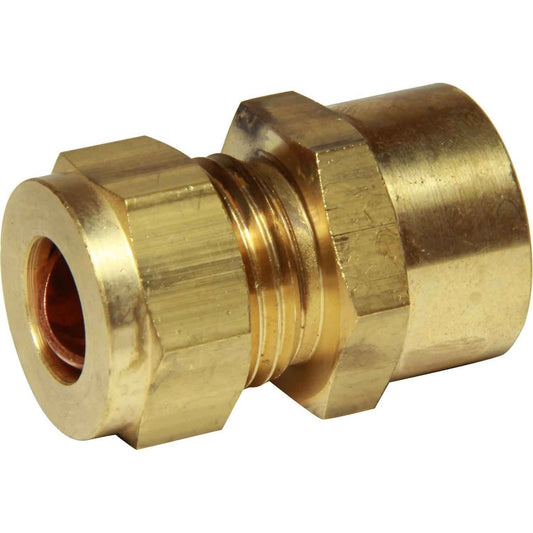 AG Female Compression Coupling (1/2" BSP to 1/2" Compression) 1-17100