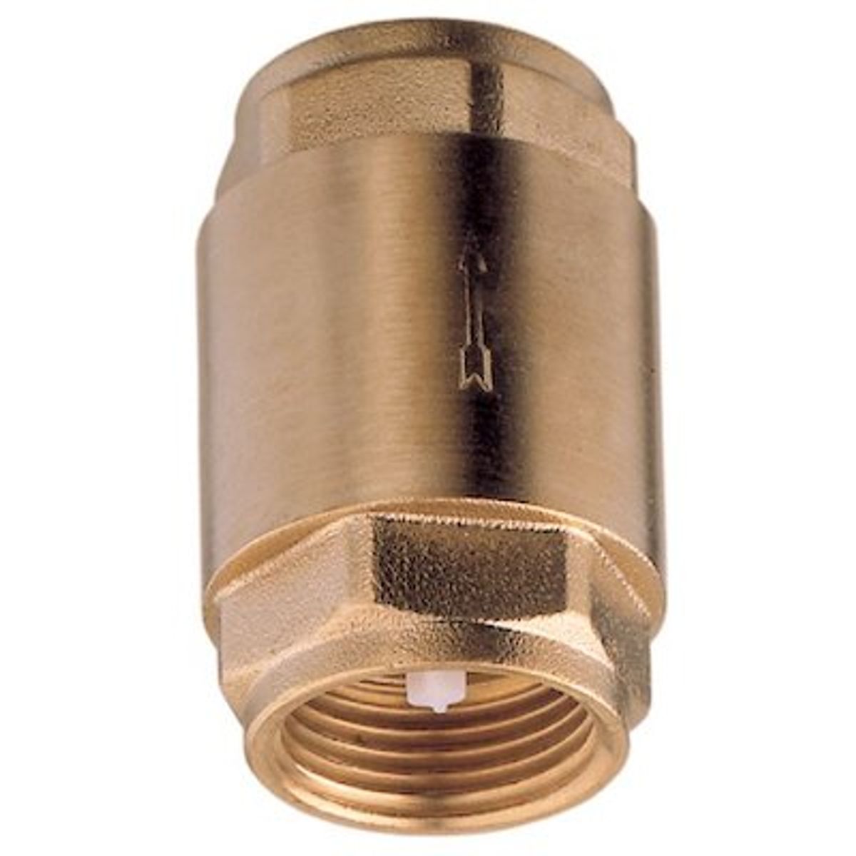 AG Spring Check Valve 1/2" BSP Female 1-71401