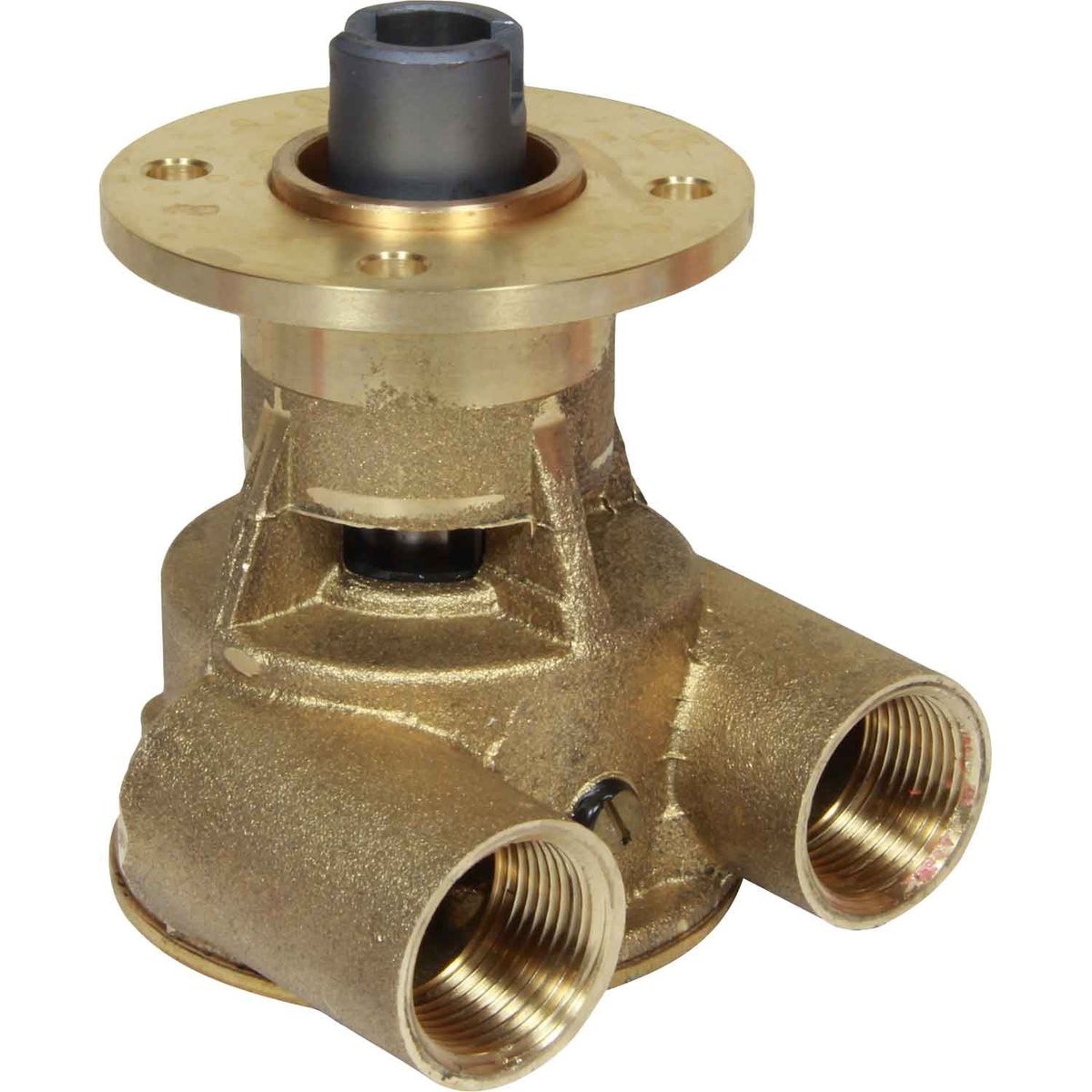 Johnson F5B-9002 Flange Mounted Engine Cooling Pump (3/4" BSP Female) 10-24119-2
