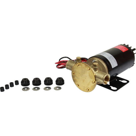 Johnson F4B-19 Electric Motor Pump (12V / 48lpm / 1/2" BSP) 10-24689-01